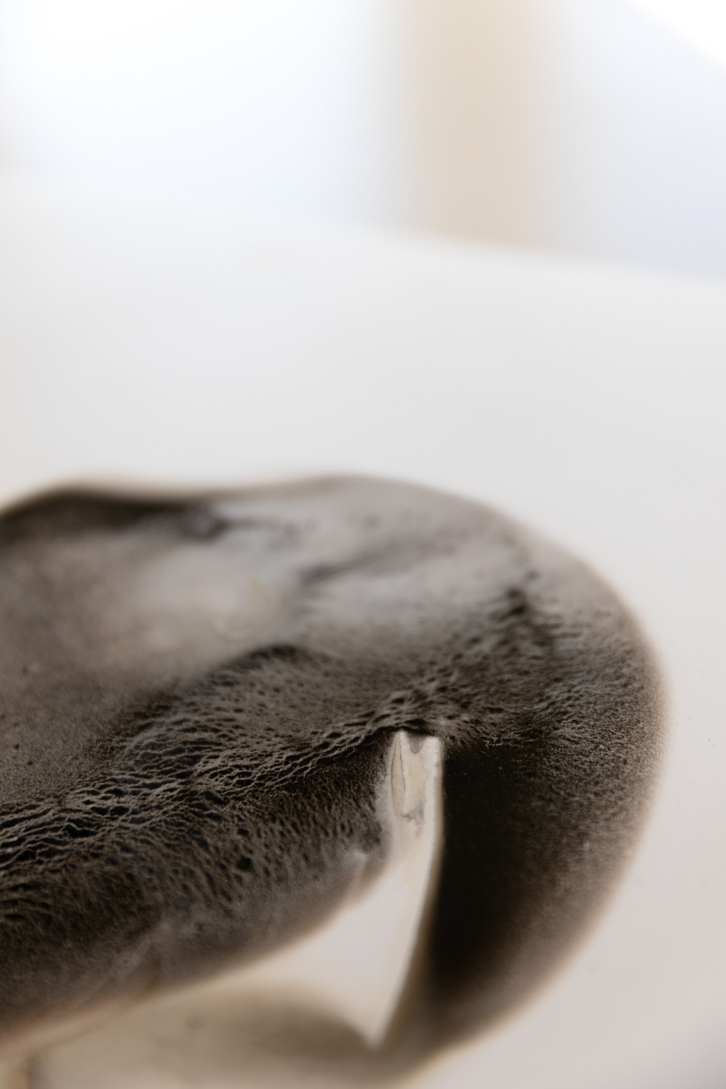KathyMiller_PrimordialCore,no.ii_Detail.jpg