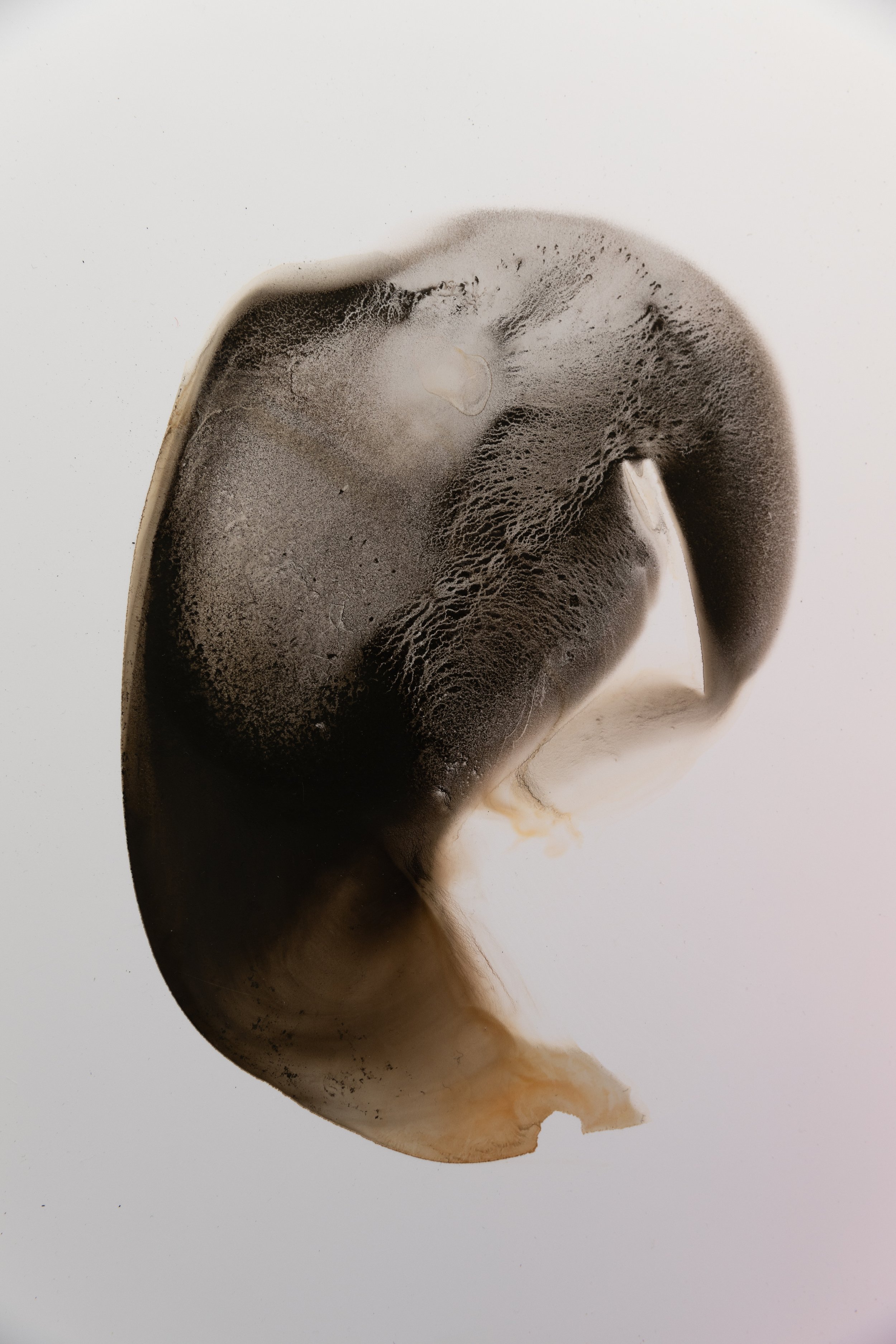 Primordial Core ii
