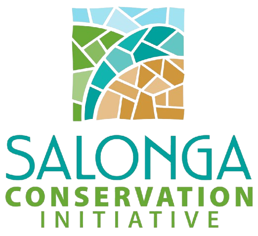 Salonga conservation initiative logo