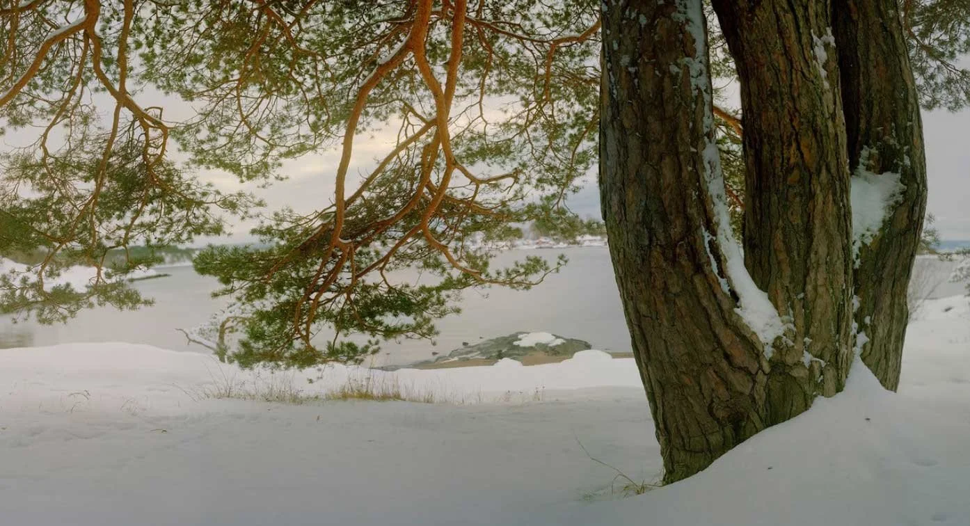 Konsert og utstilling i Kunstbanken