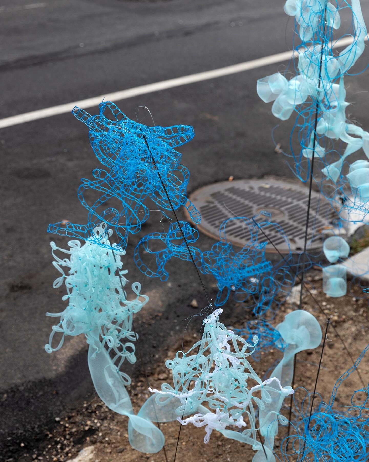 Tree bed #7 @carolinecox_studio 

Along with their ecological function tree pits provide residents with a public place to display their creations, ranging from miniature landscapes to eclectic floral designs. In a similar way my installation embraces