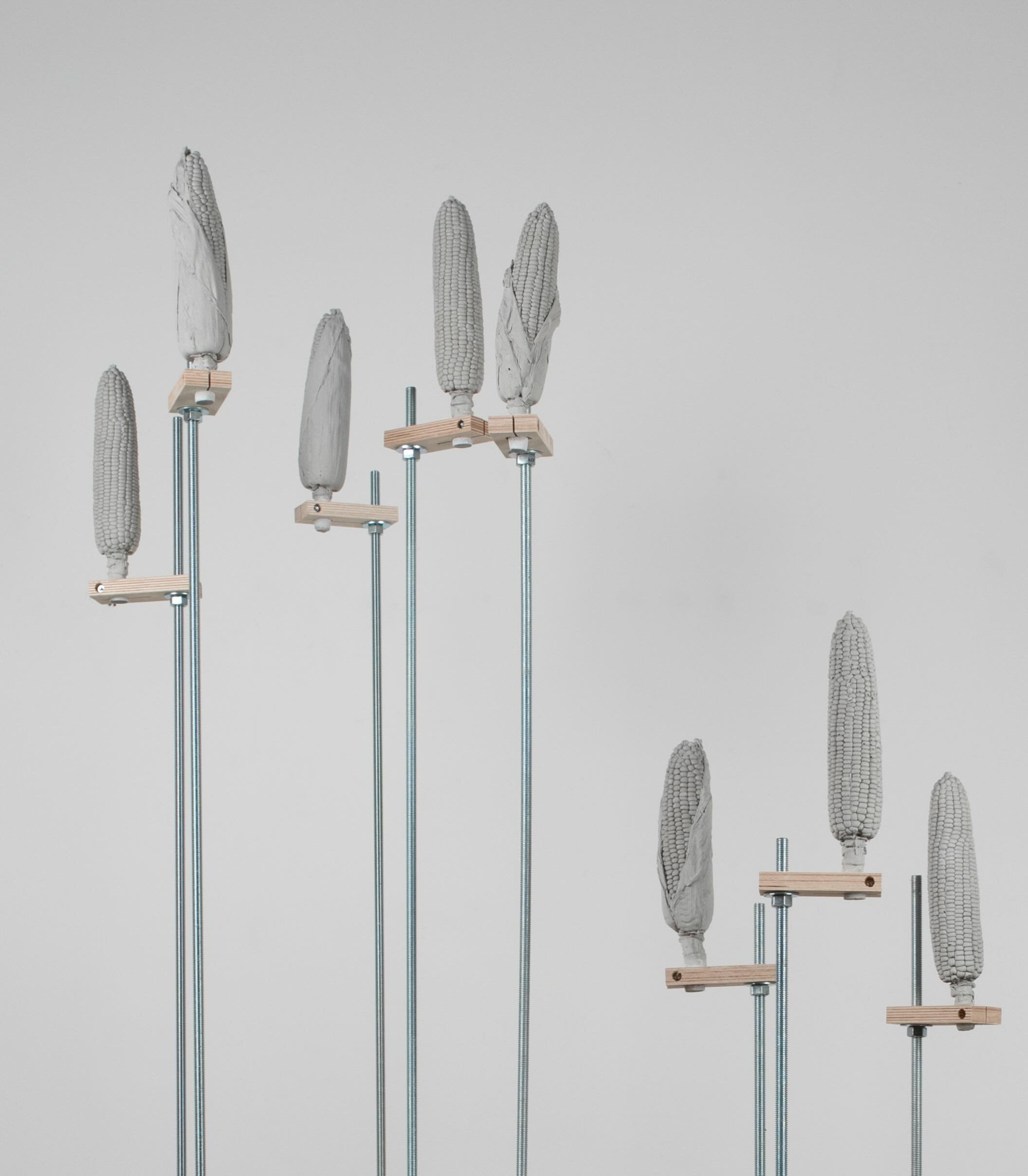 See @lauralappi &lsquo;s work at Tree bed 20 - map in bio

Detail image
Untitled (Corn Cob)&nbsp;
2026, Sculpture, Wood frame, metal rods, washers, nuts, concrete.
Untitled (Corn Cob) is a sculpture in which cast corn forms are attached to an archite