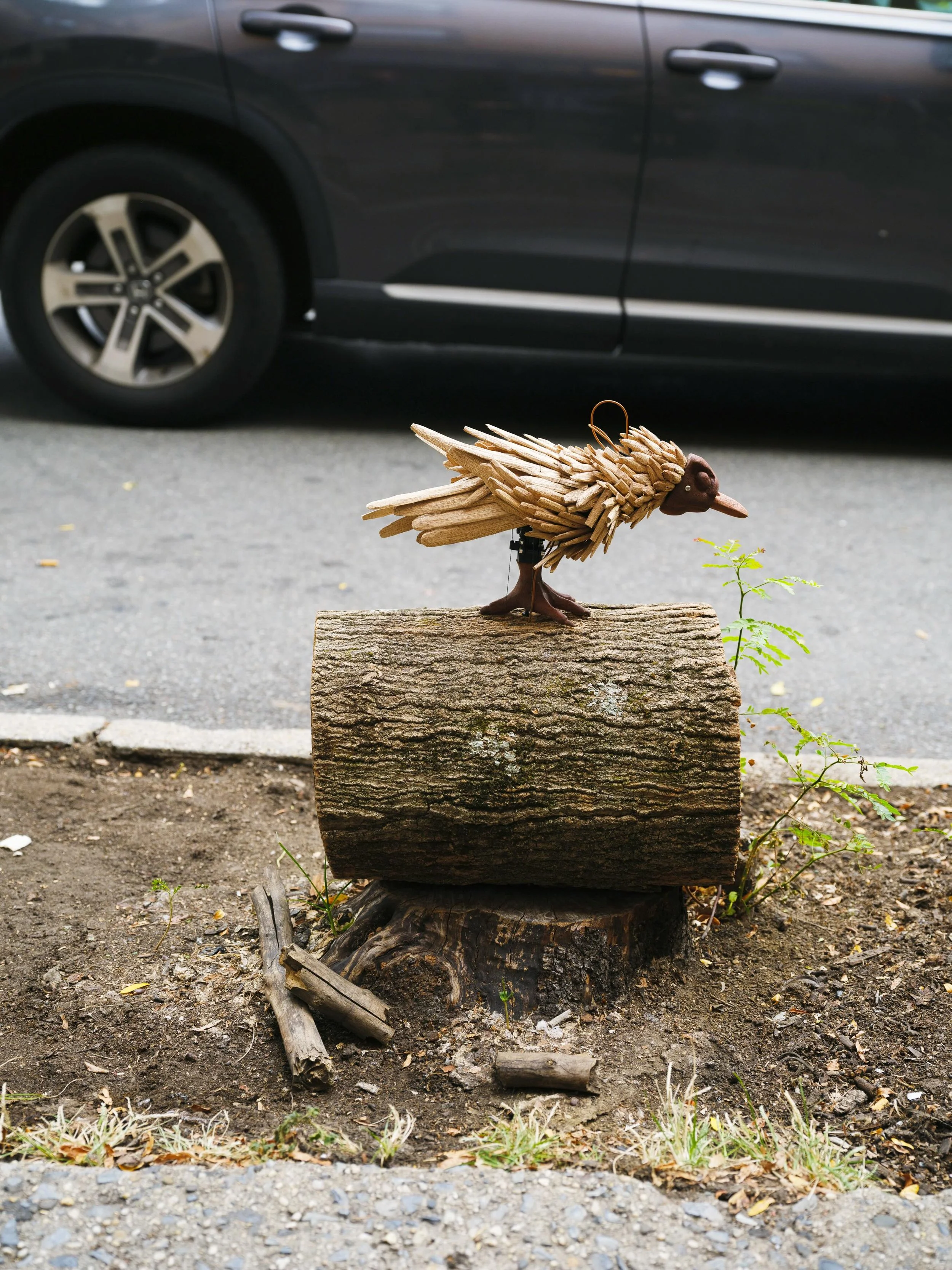 Tree Bed 12 @tech.support__ 
@fallowframesbiennial 2026

Bird
Bird is a tendon-based kinetic sculpture made from carved wooden feathers, a beak, and a claw. It continuously pecks on a hollow log, sometimes looking, sometimes drumming, sometimes waiti