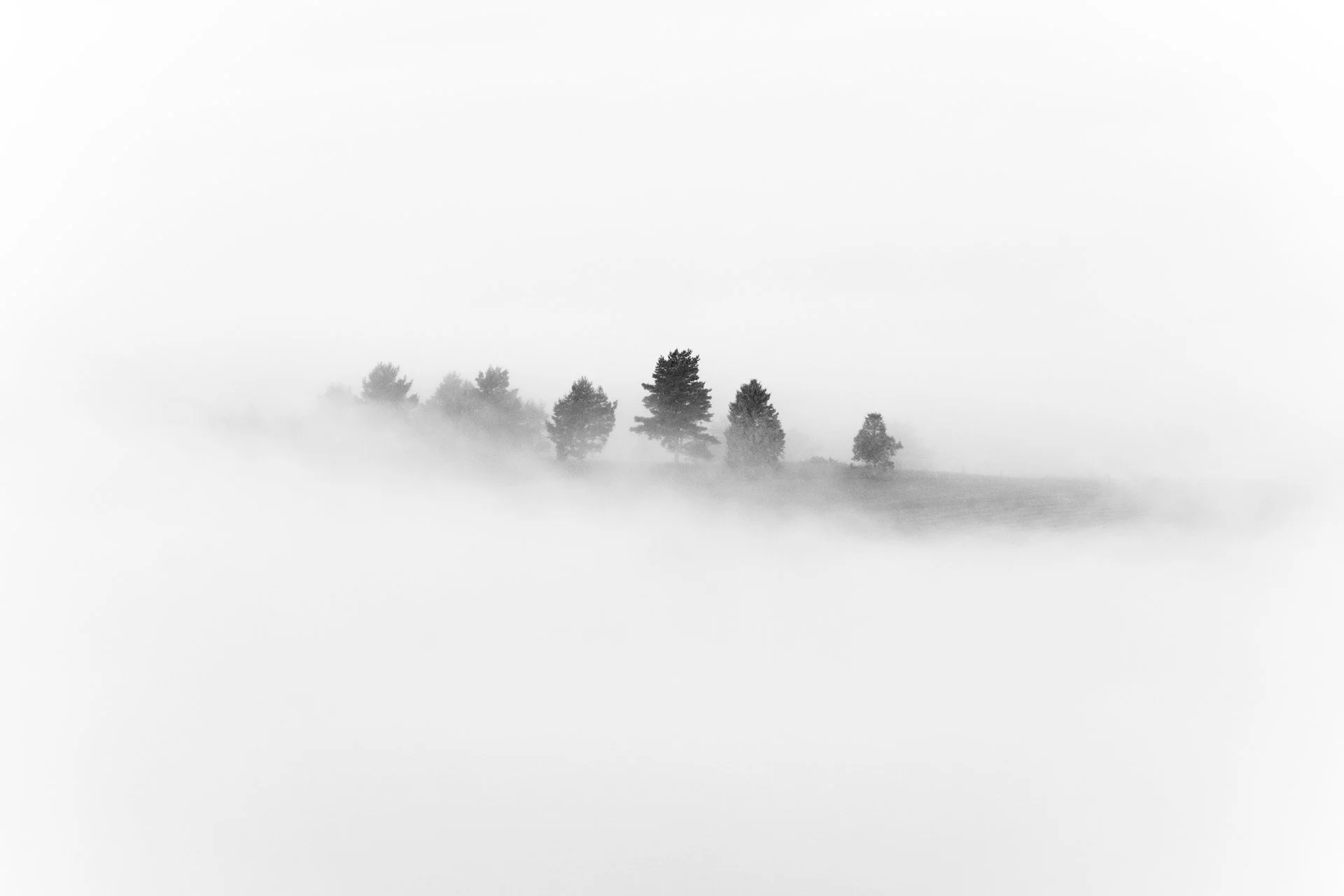 _DSF7825.jpg
