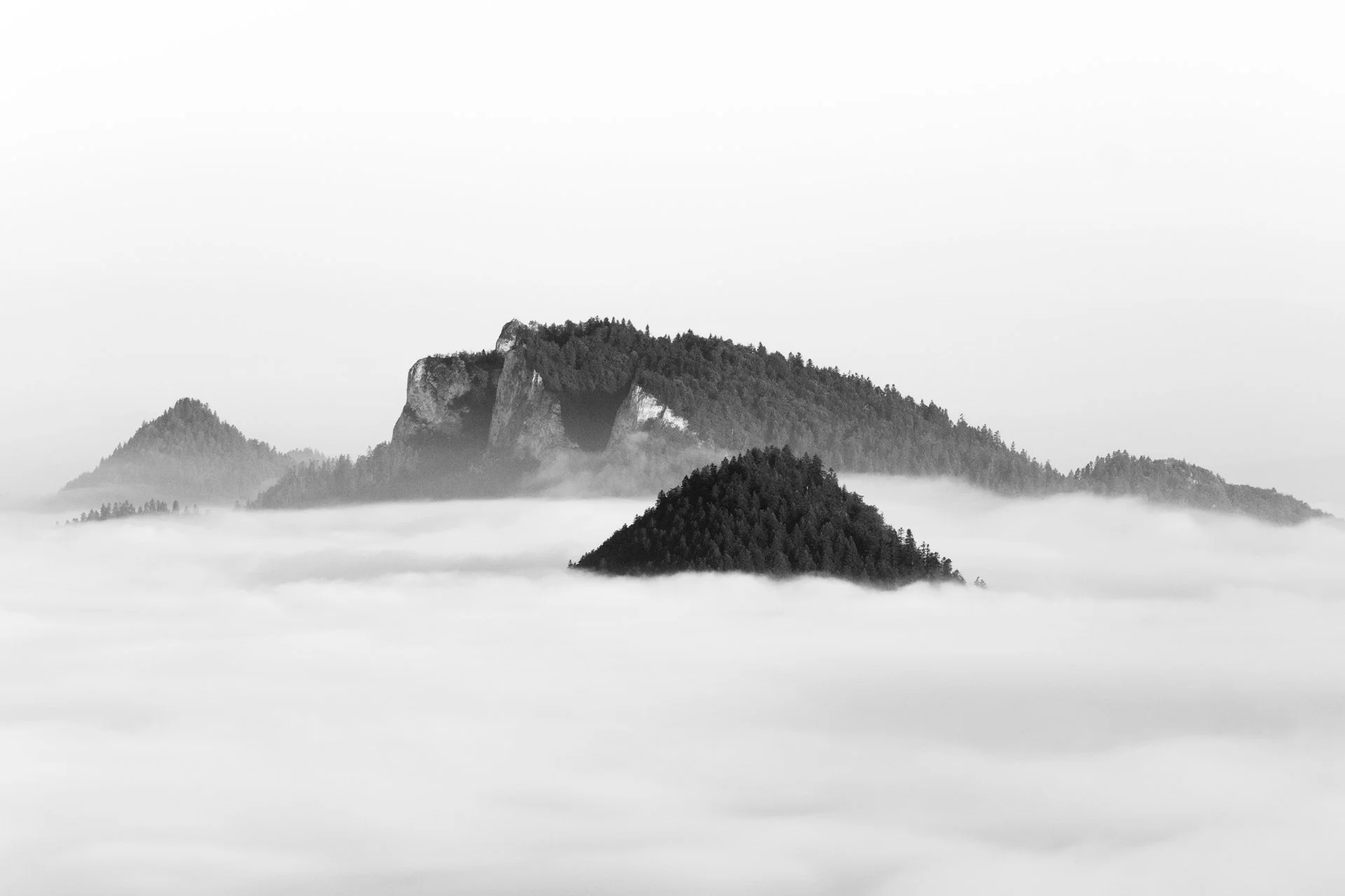 _DSF7863.jpg