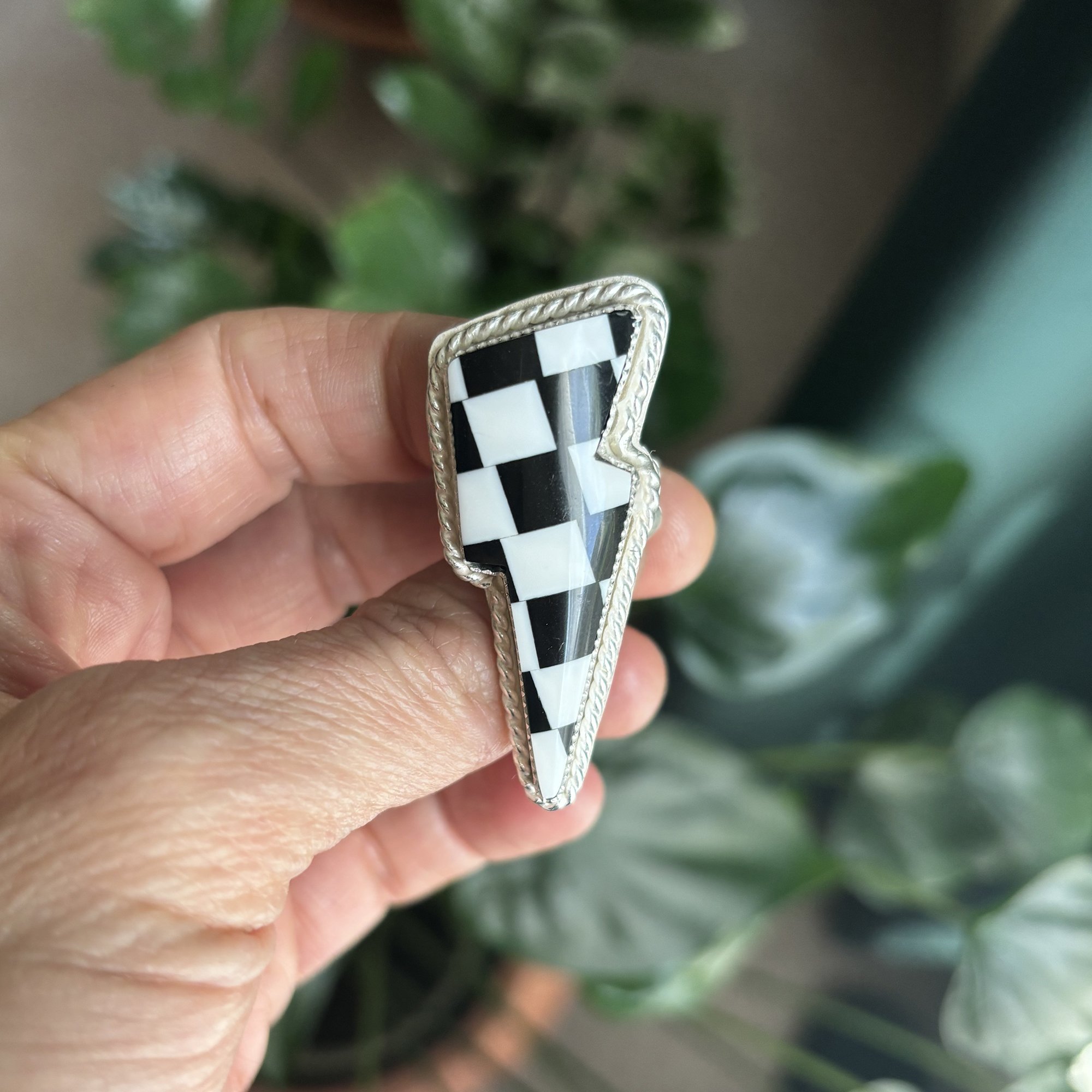 checkered.jpg