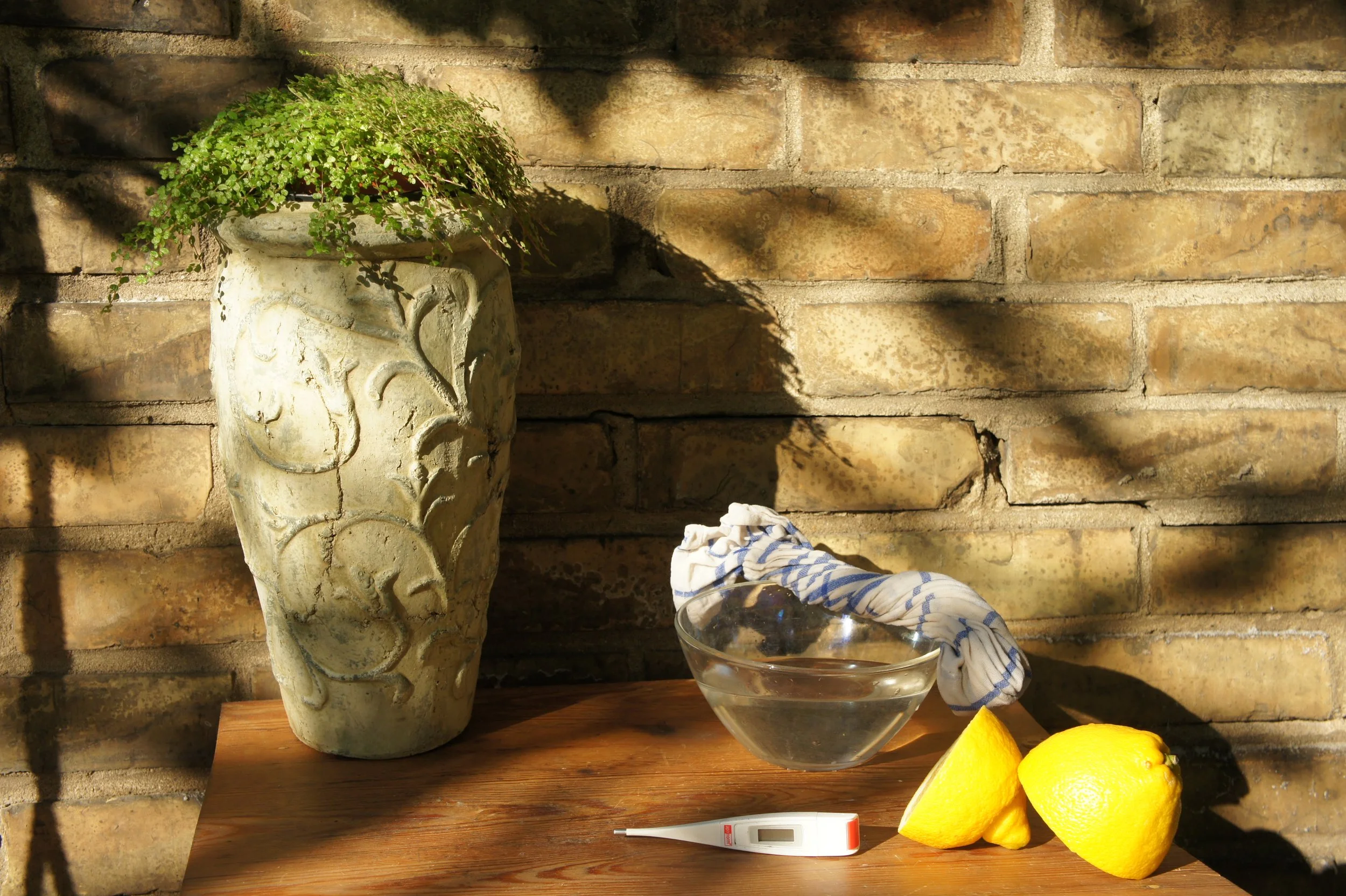 Fieber - naturheilkundlich und wissenschaftlich betrachtet