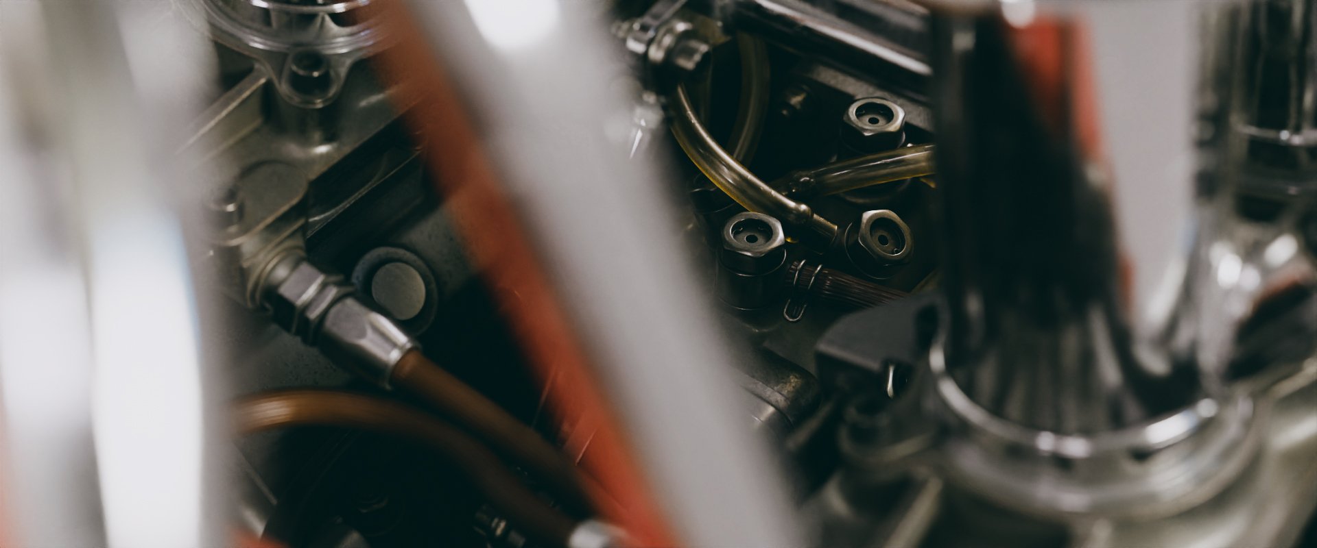 Lotus49_292.jpg
