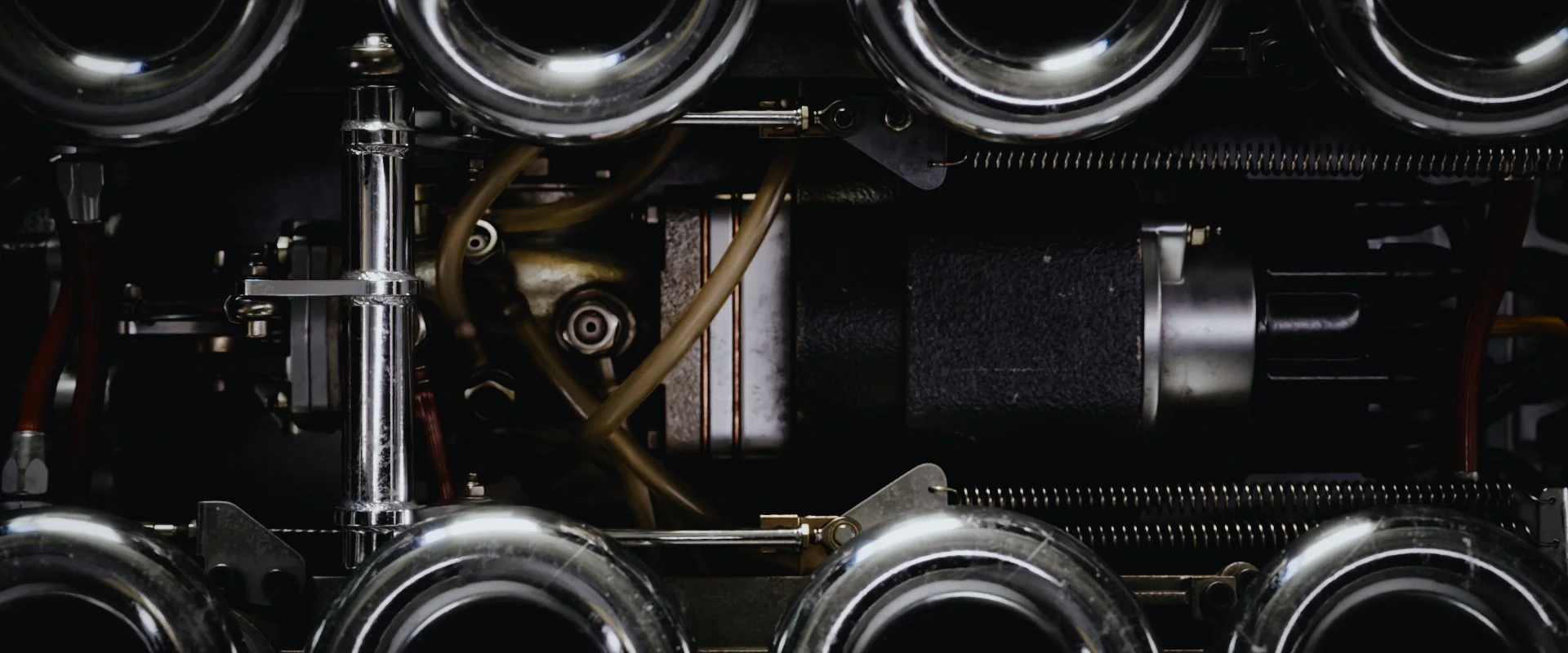 Lotus49_271.jpg