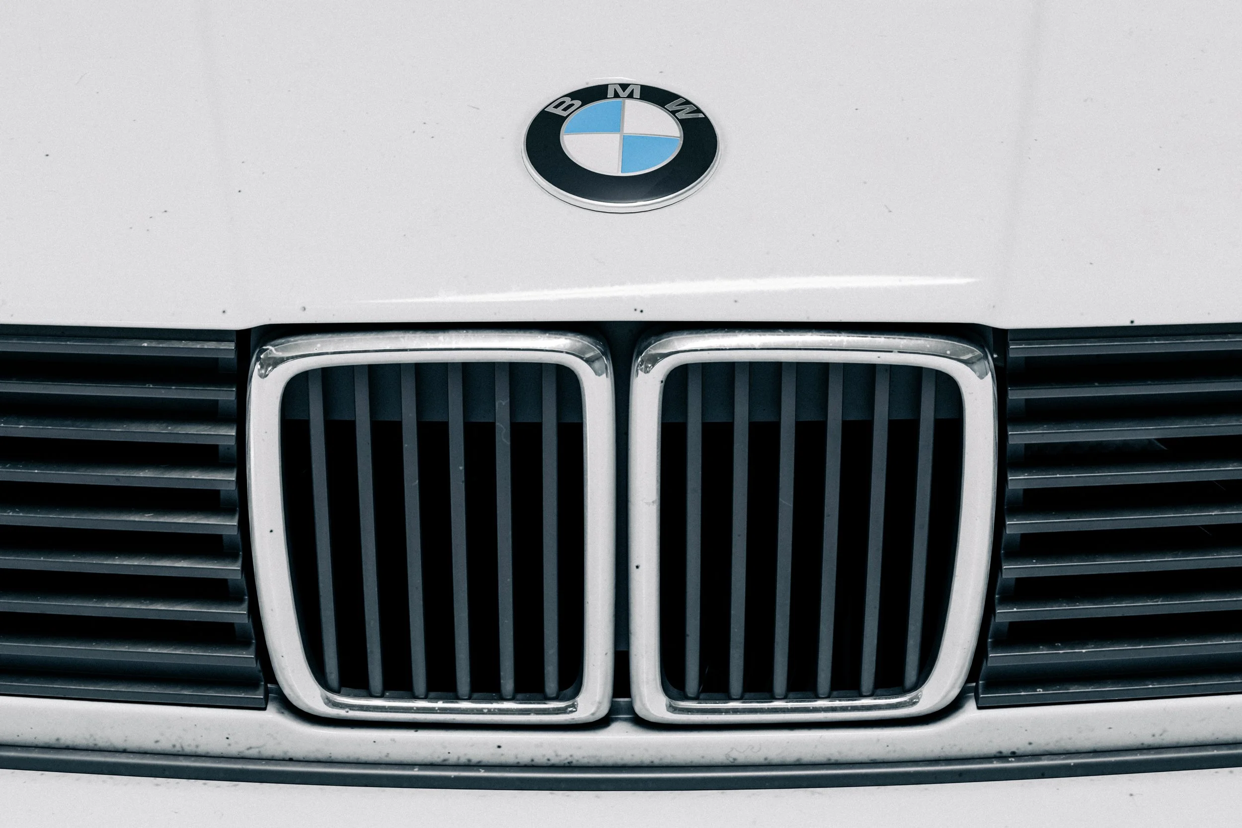 BMWM3E30_Grille.jpg