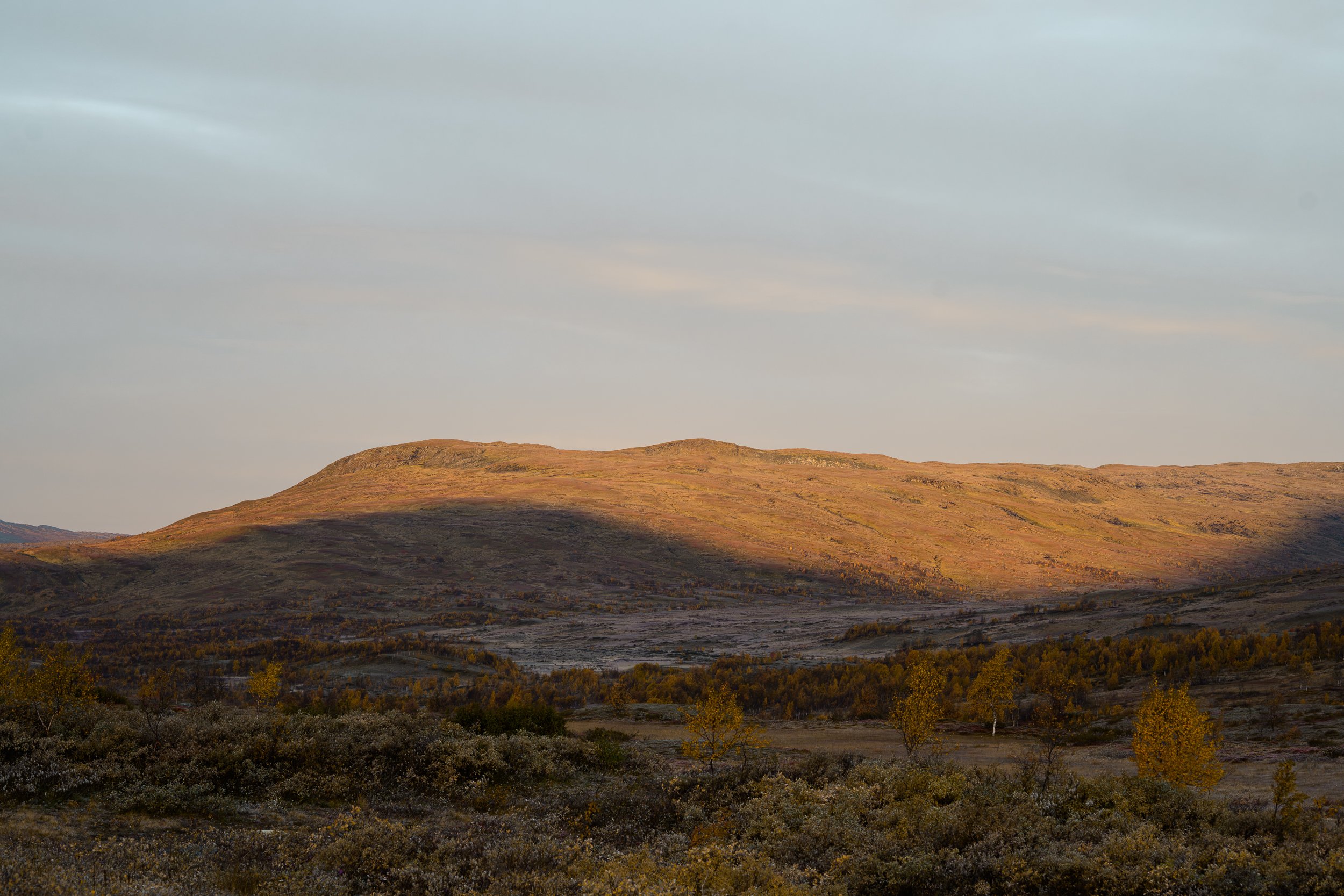 Vildmarksvagen_020.jpg