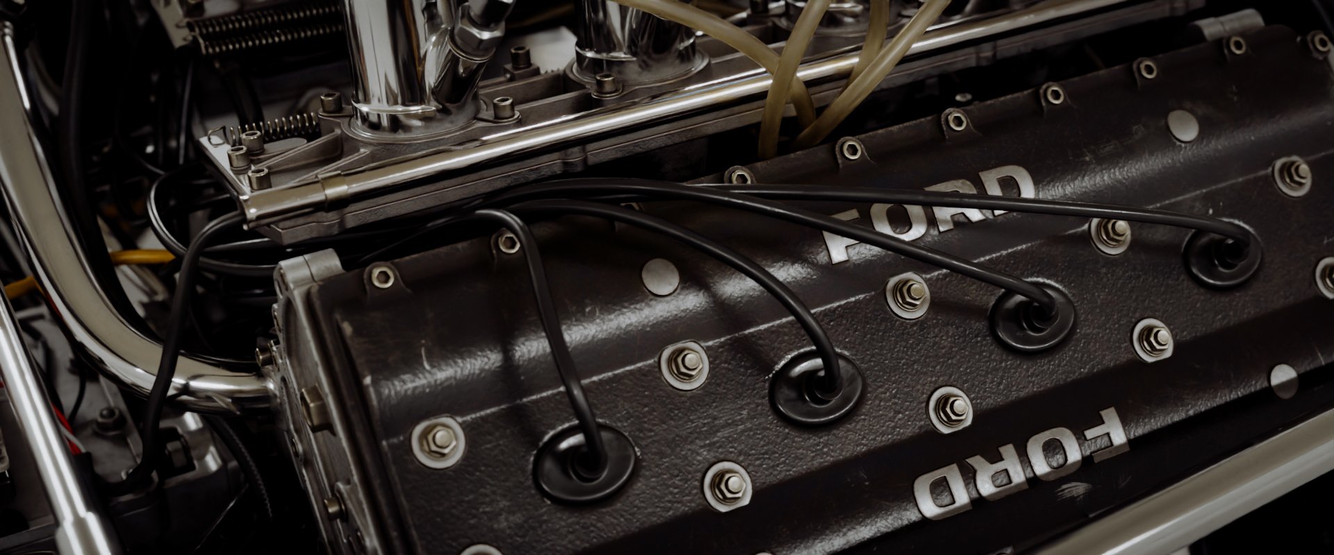 Lotus49_266.jpg