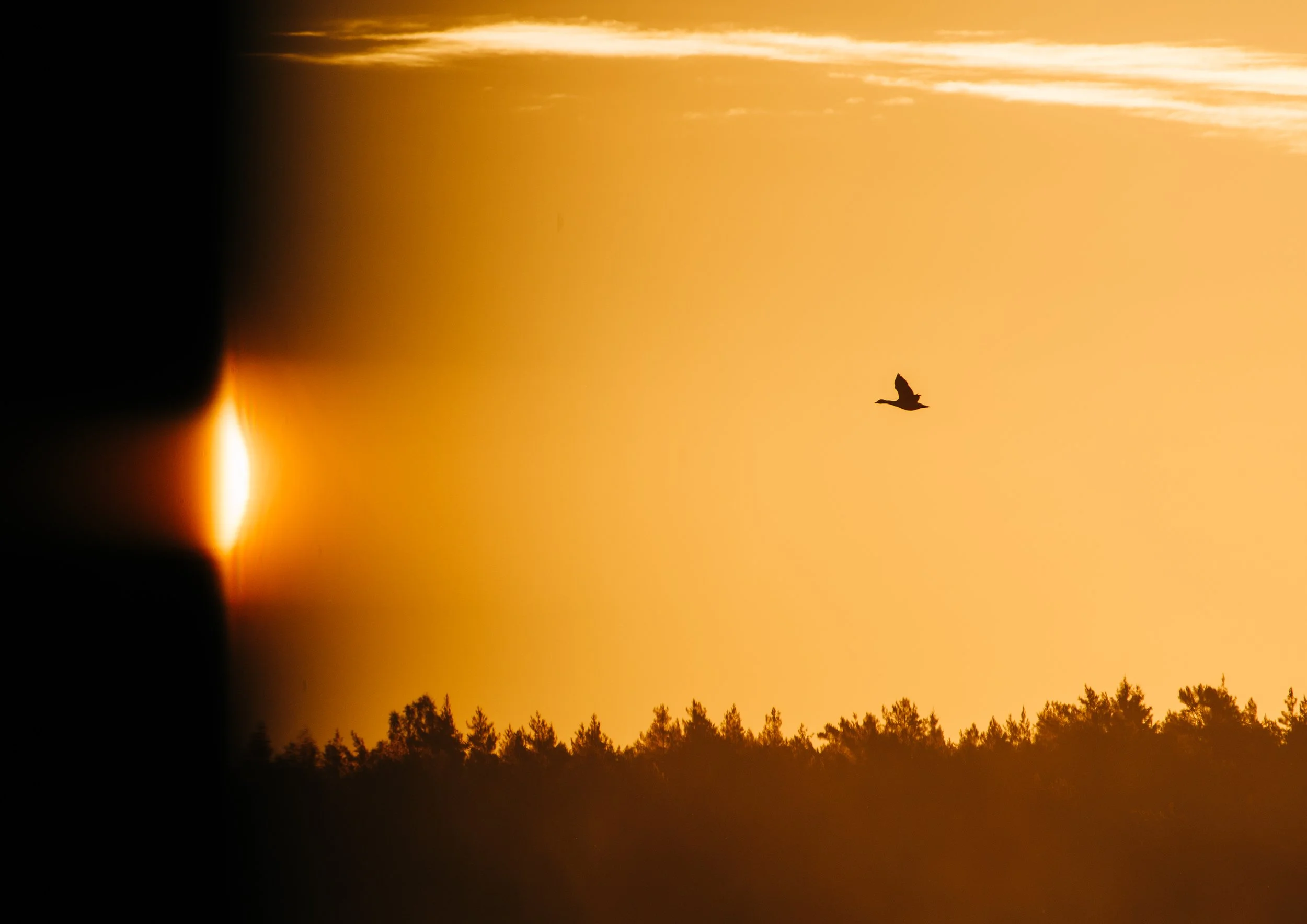 Sunrise_01.jpg