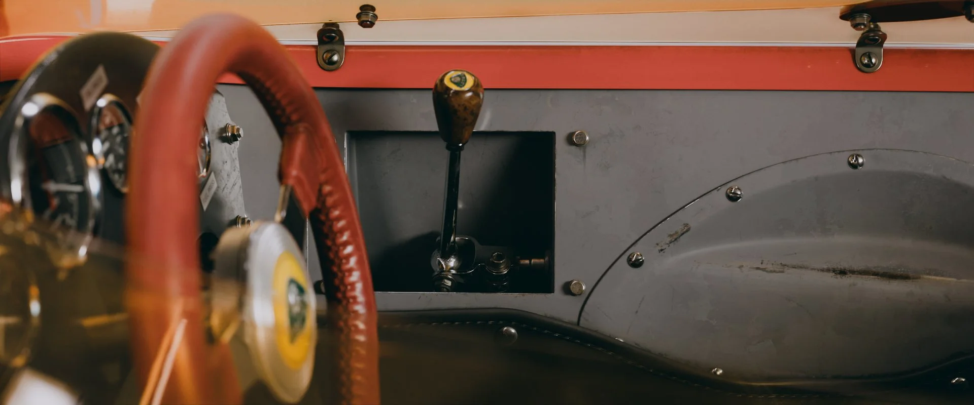 Lotus49_294.jpg
