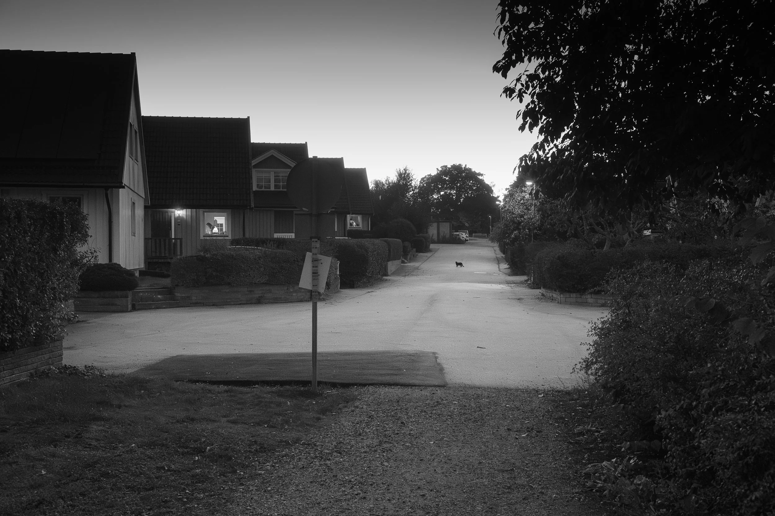 Street2024_01.jpg