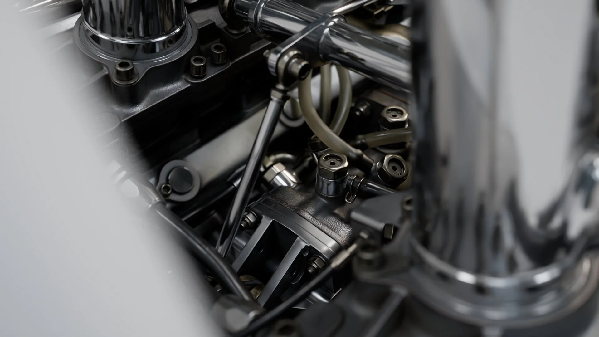 Lotus49_226.jpg