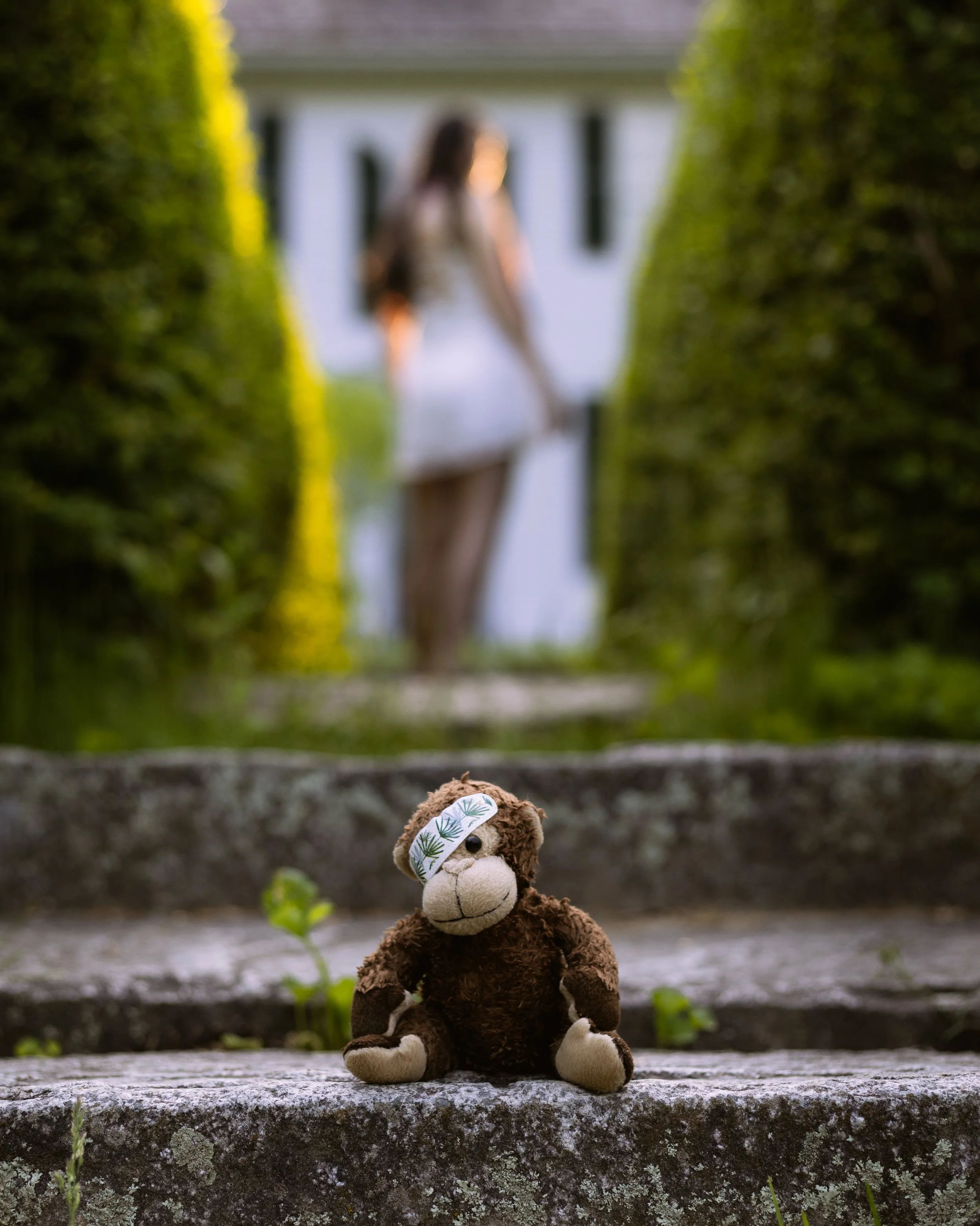 A brown teddy bear wearing a headband with green pine tree print sitting on stone steps outdoors with a blurred background of greenery and a white house.