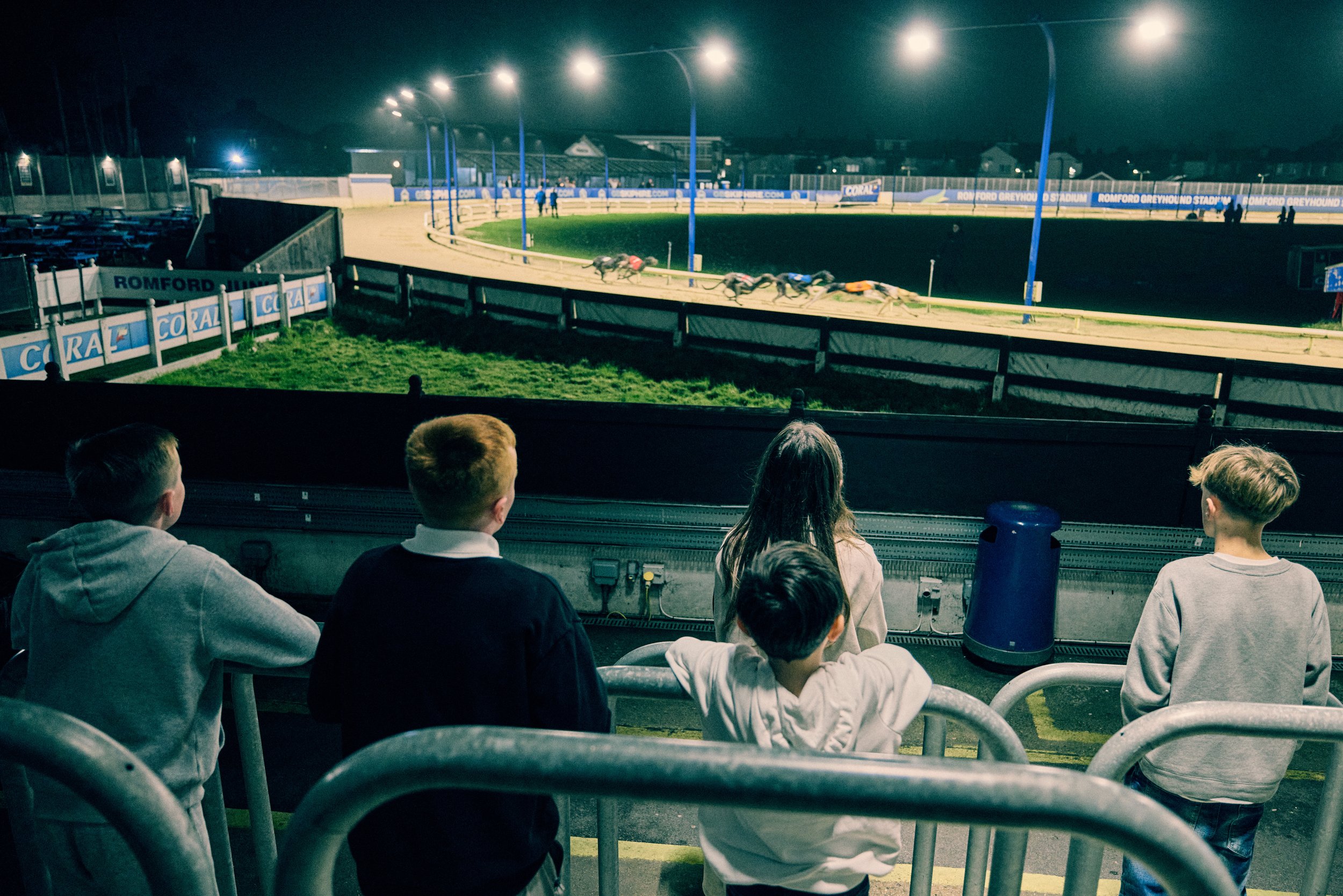 Romford_dogs_11356.jpg