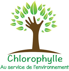 Un arbre avec une main levée comme un branche, des feuilles vertes, et le texte 'Chlorophylle' en dessous.
