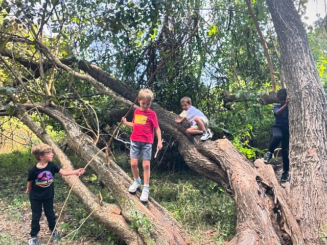 Tree climbing is one of our favorite activities during group! We don&rsquo;t have a sensory gym, but this tree serves as the perfect base to run, climb, jump, and swing from. 🌳🤩