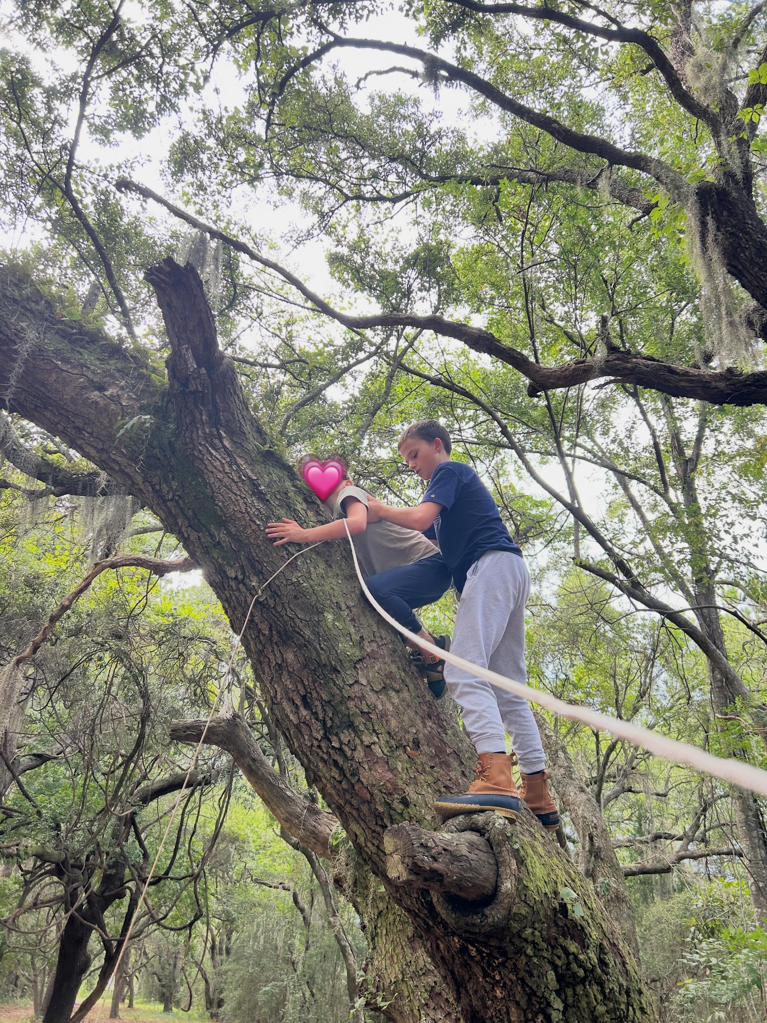 We love this picture that shows two of our group members turning a rope task into a team effort. One kid boosted, the other climbed, and together they got that pulley rope exactly where it needed to go. 🌳

This is the kind of moment we love most out