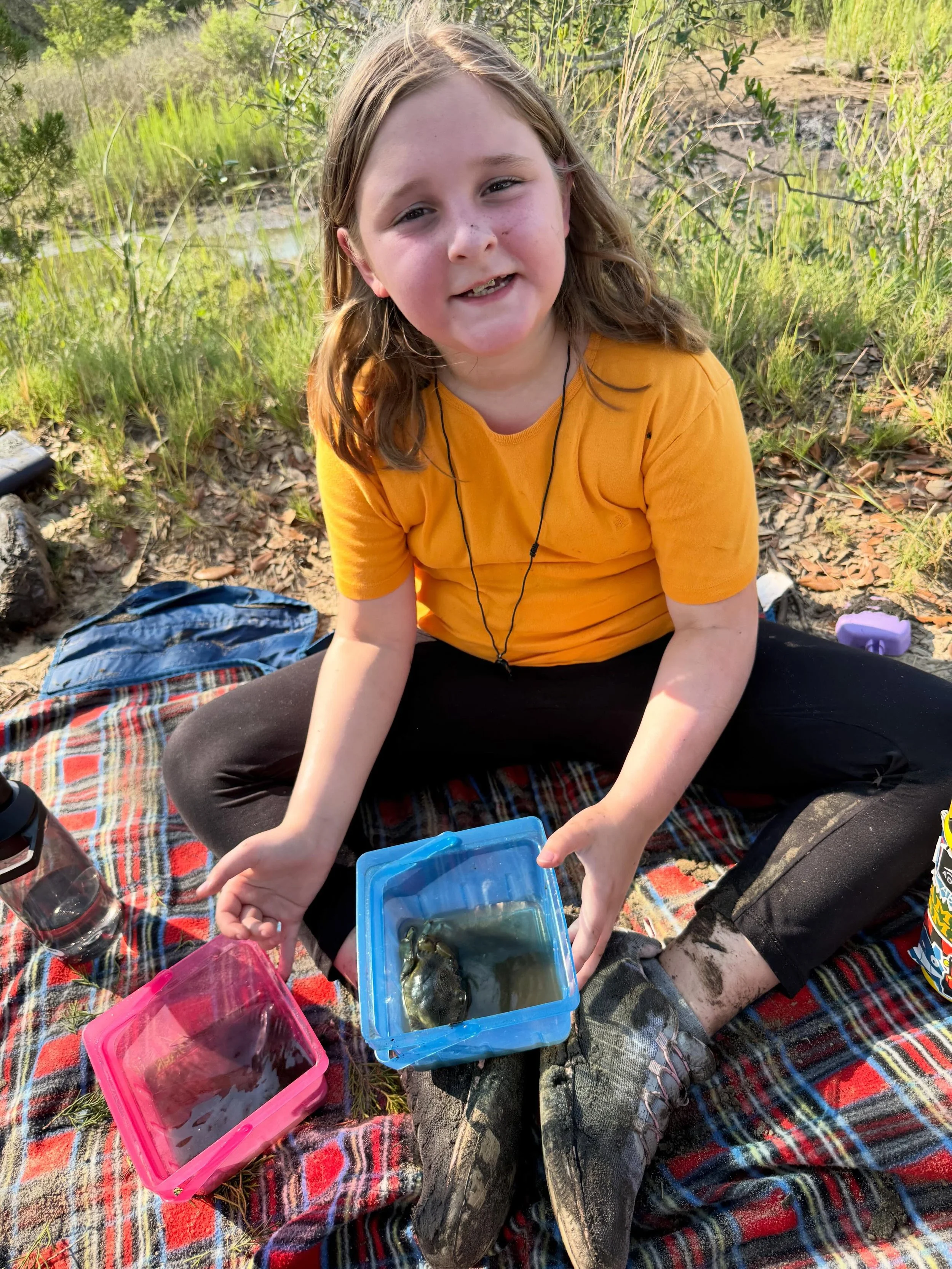 Learning all about blue crabs this week as we explore the marsh together 🦀