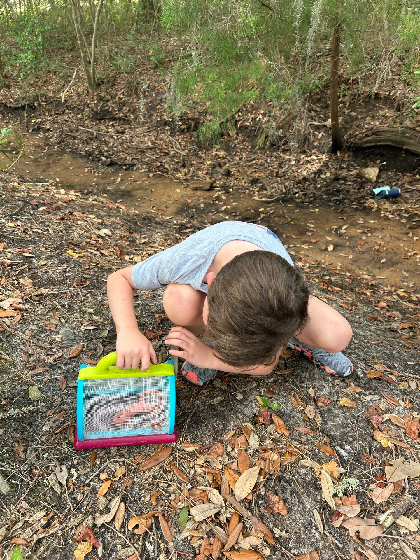 There's a concept in psychology called soft fascination: nature holds our attention gently, without wearing it out the way a screen or a demanding task can. 🔍

You can see it in this child's body language and captivated eyes, completely locked into 