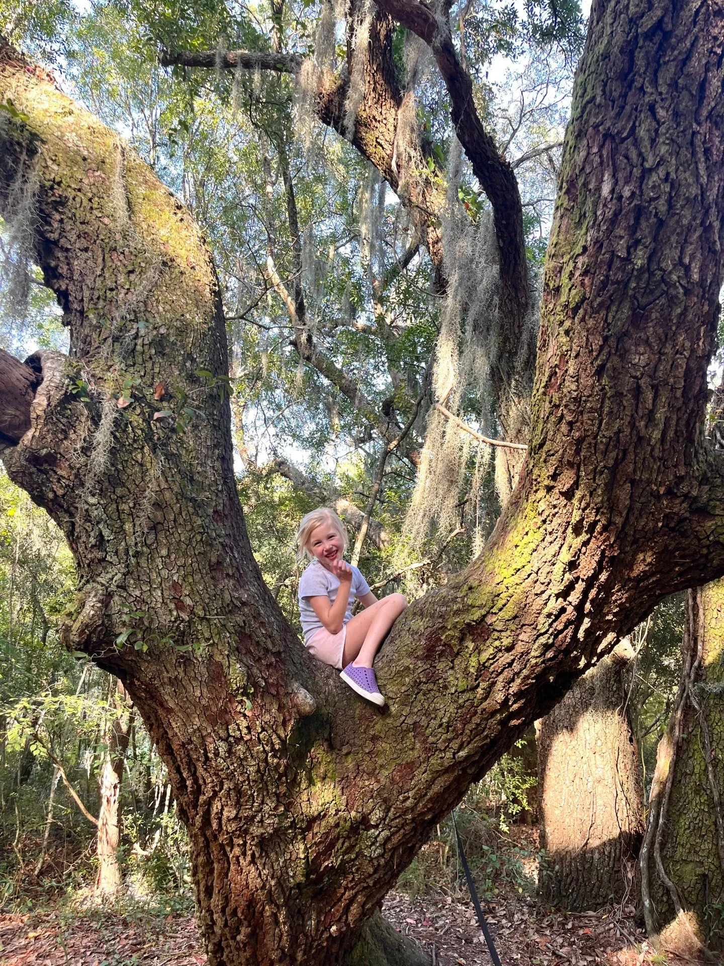 All smiles for another week outdoors with our friends! 🥾🌳🤸 #outdoorOT #naturebasedtherapy #charlestonsc #charlestonmoms #occupationaltherapy