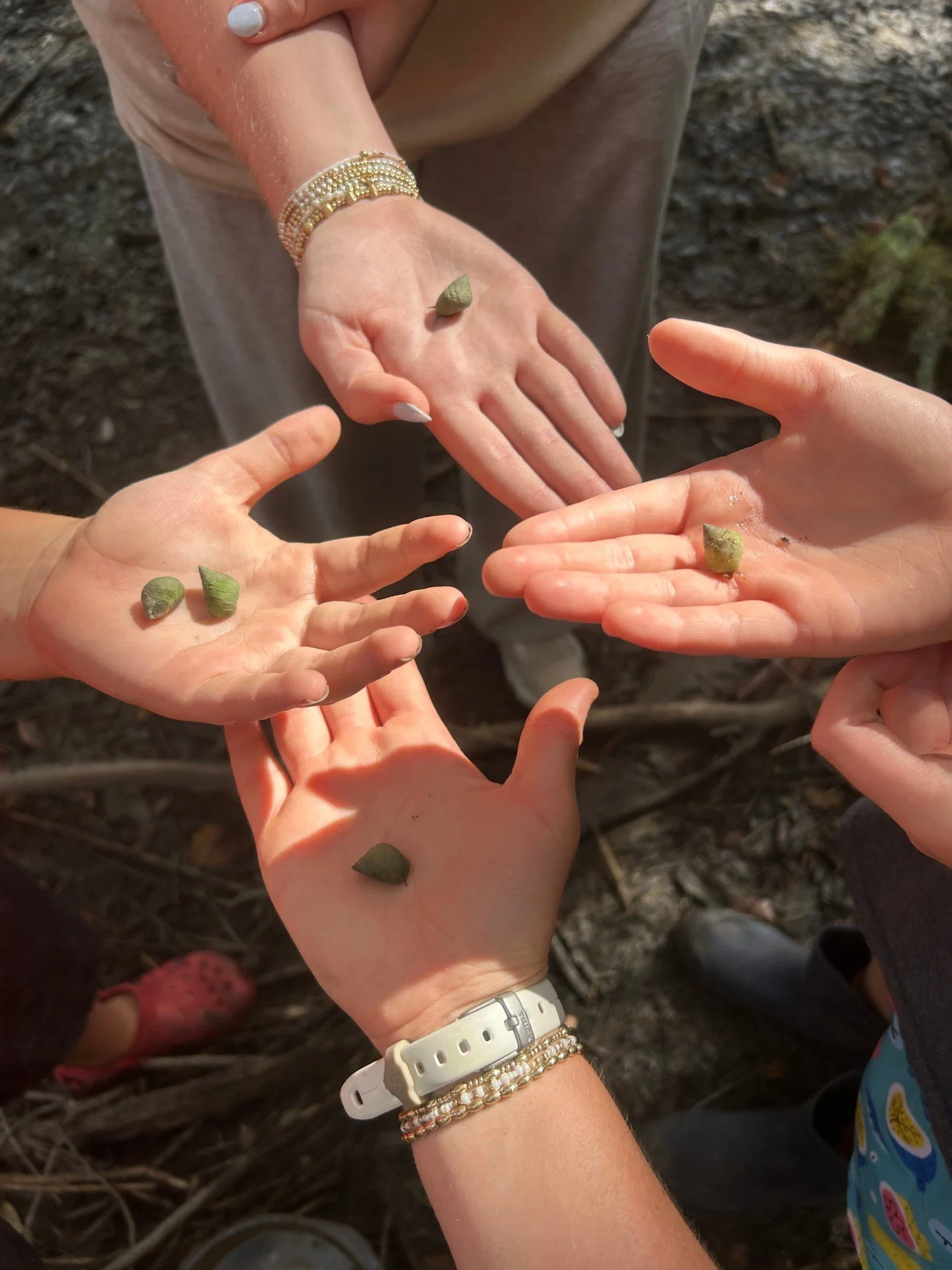Snail hunting is serious business around here.

Finding these little guys means slowing down, looking closely, and using a gentle touch to hold something so small. Simple moments like this build so many skills without the kids ever realizing they are