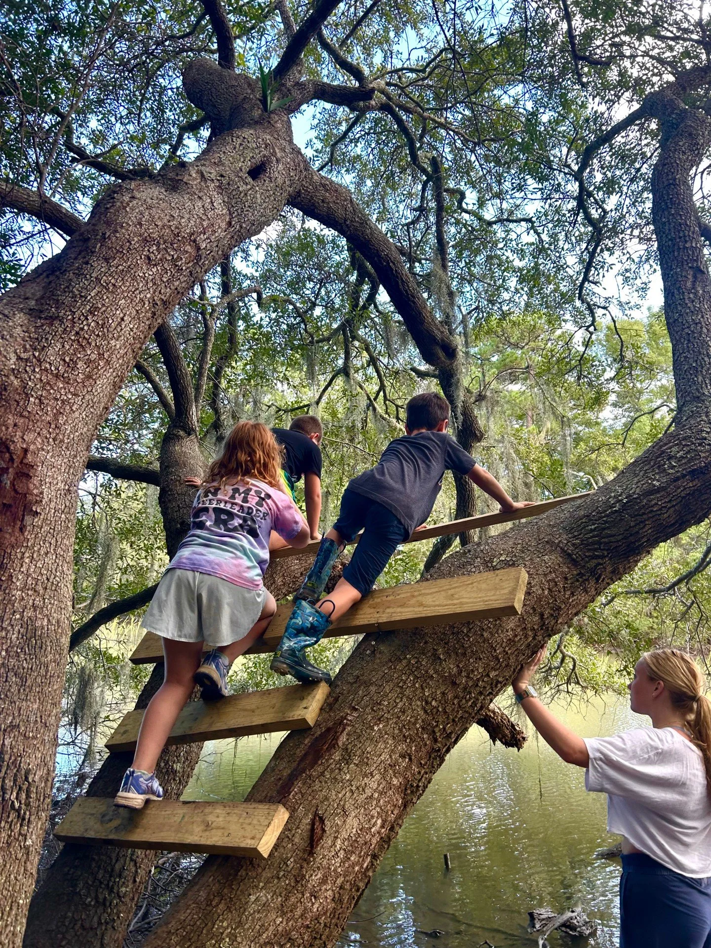 Give a kid a ladder up an oak tree and watch every system go to work. 🌳

Climbing like this calls on balance, motor planning, and body awareness all at once, they have to figure out where their hands and feet go before they move. And when it's a lit