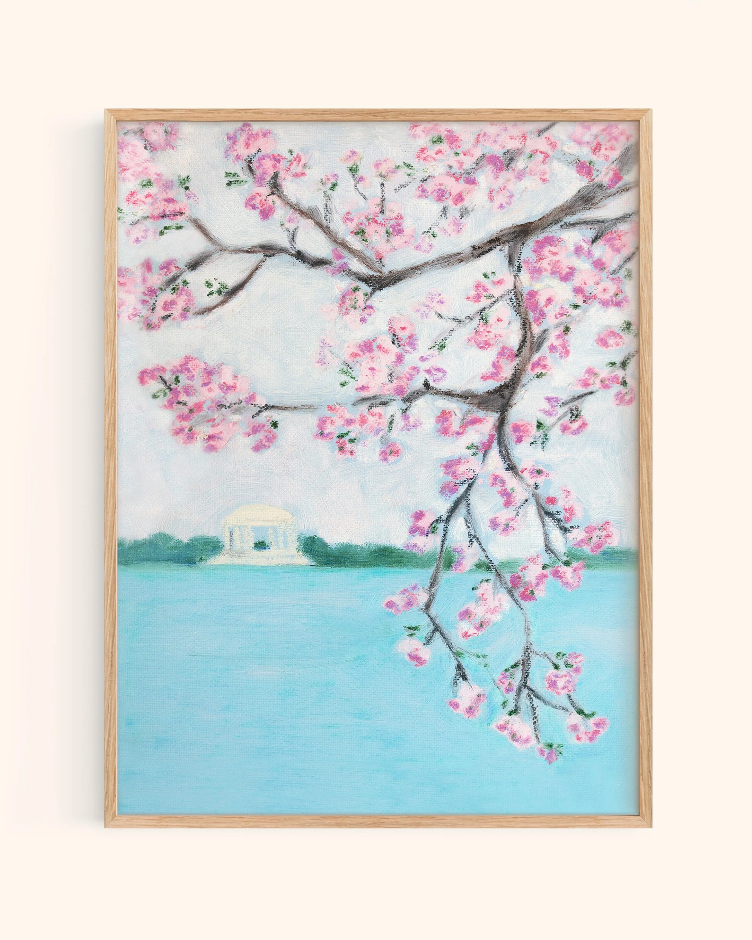 Cherry Blossoms at the Tidal Basin