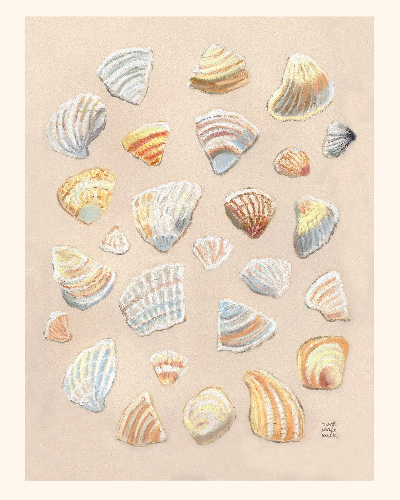 Seashells.jpg