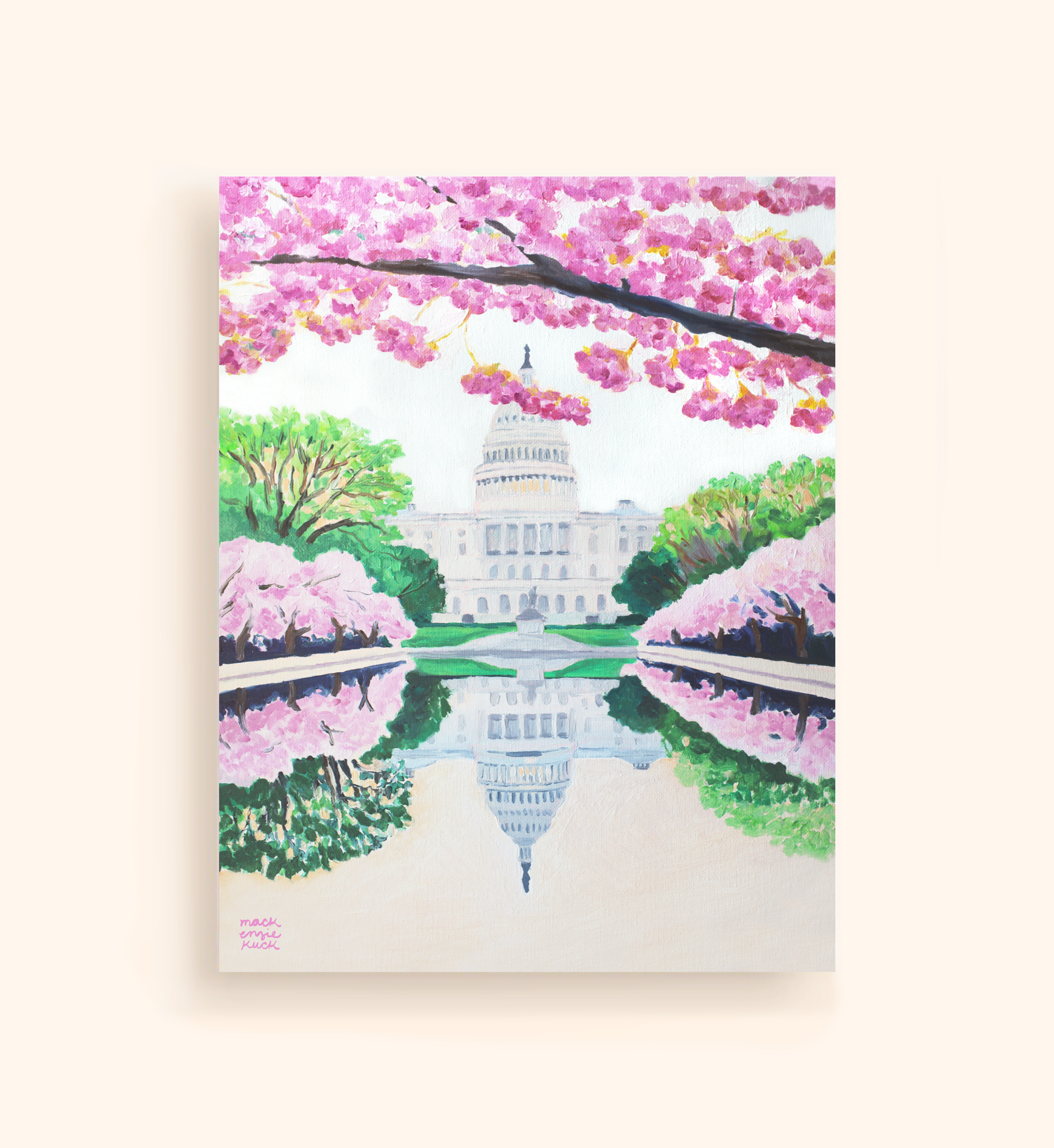 Cherry Blossoms at the US Capitol Building_Front.png
