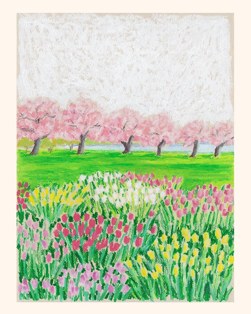 Tulip Library.jpg