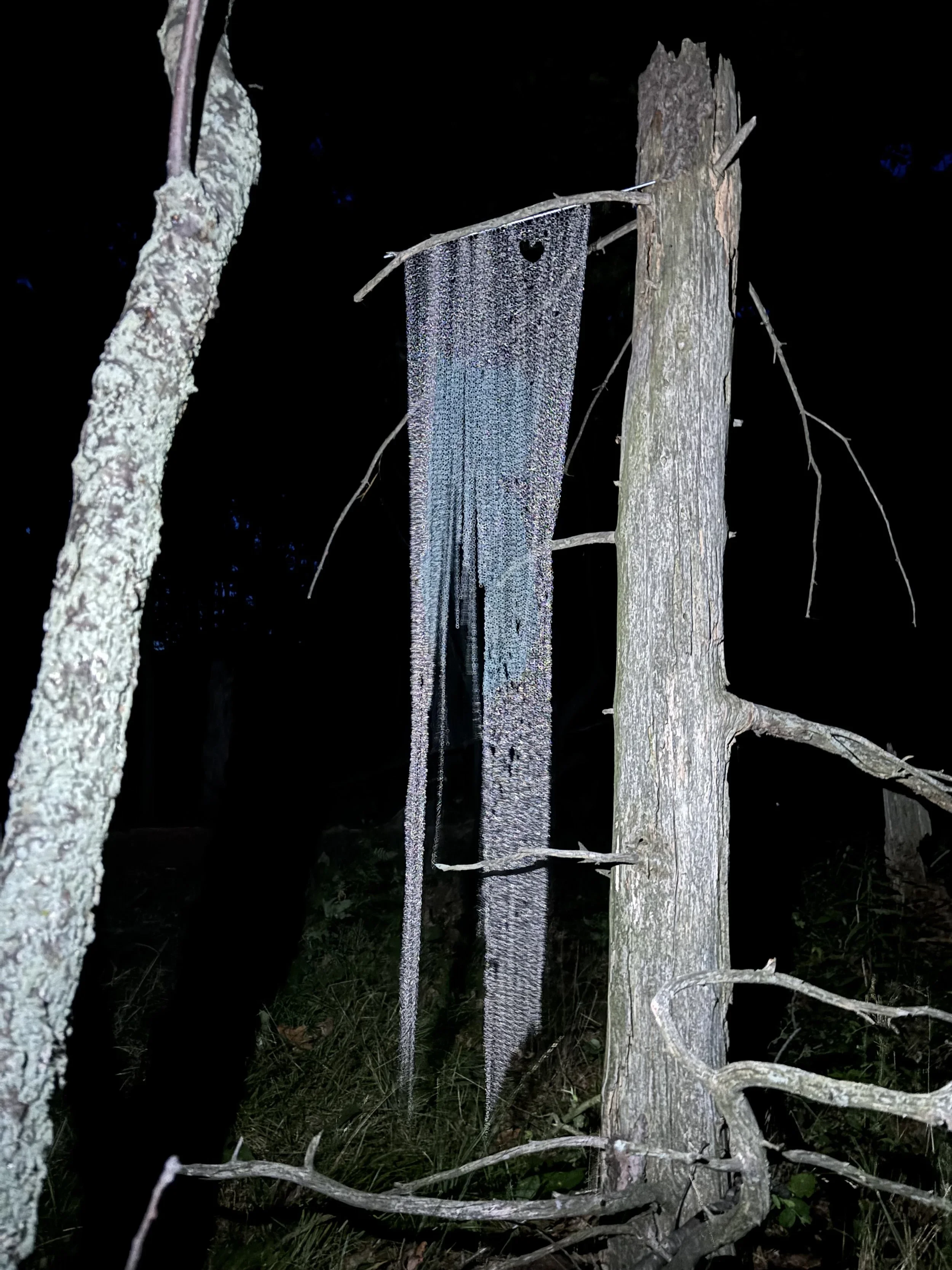 You told her you weren't going anywhere, 2025