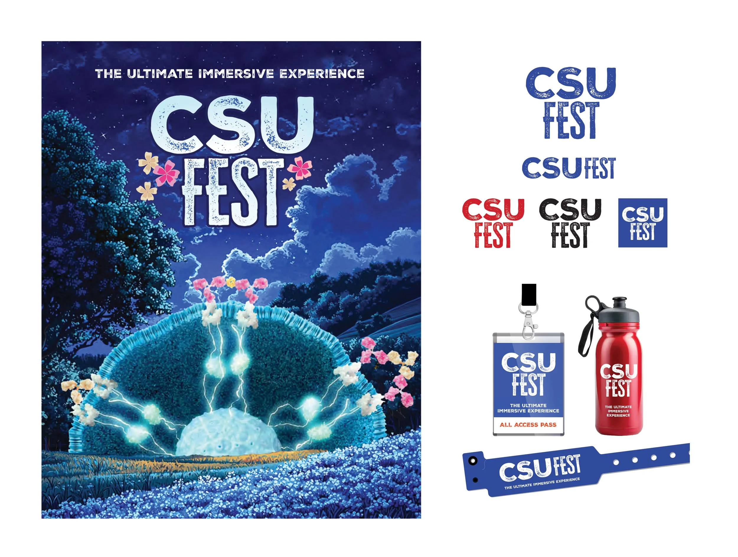 CSU Fest.jpg