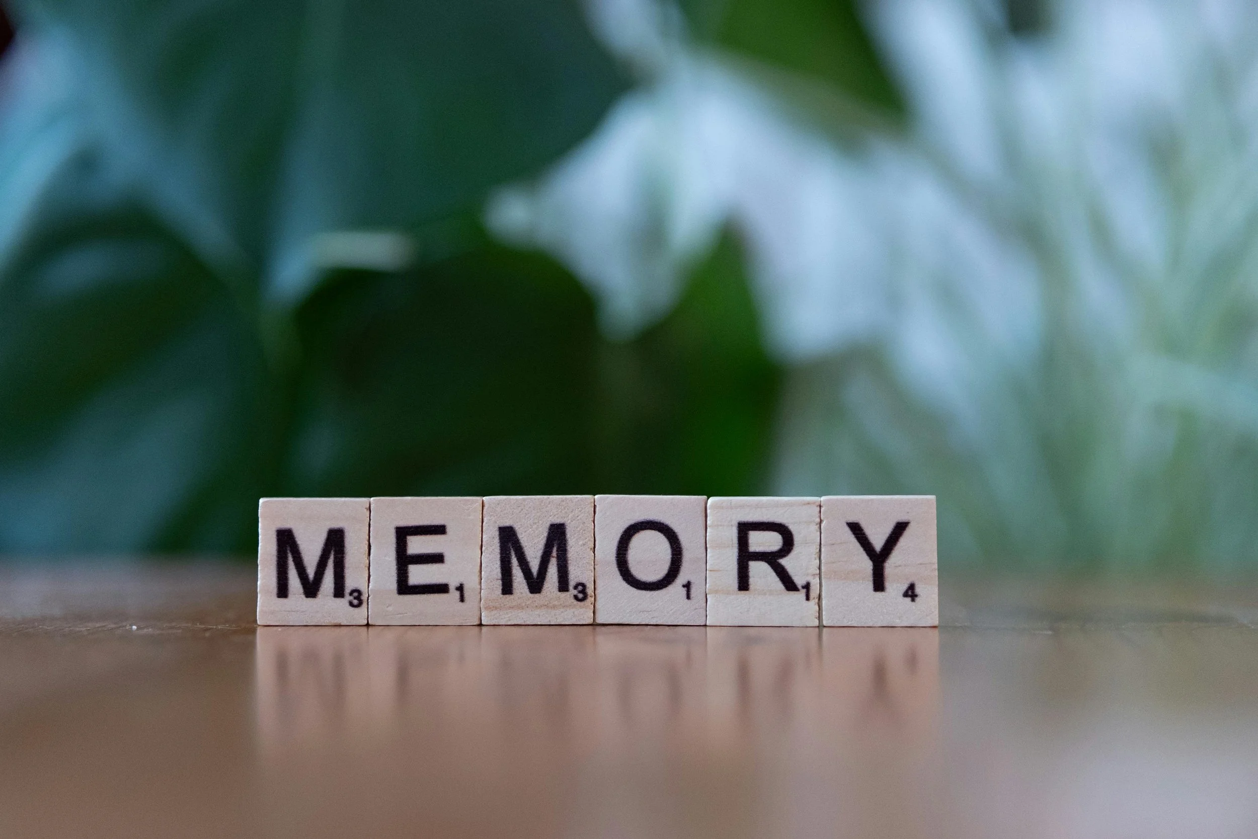 Workshop 2: Working Memory - Strategies for Strengthening and Supporting