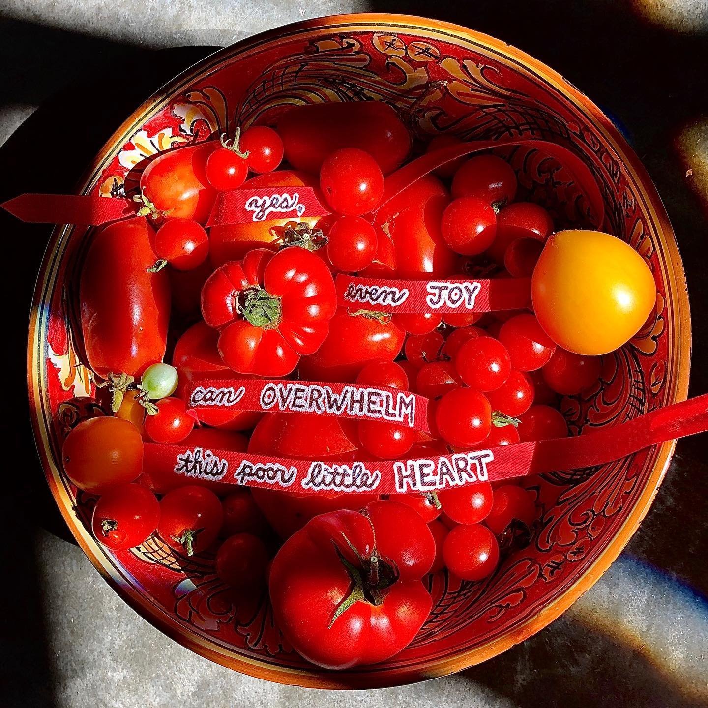 Canning tomato jam and chutney today&hellip; which both in fact and in spirit recalls me to this image from Day 116 of the haiku project. 🍅💔❤️&zwj;🩹