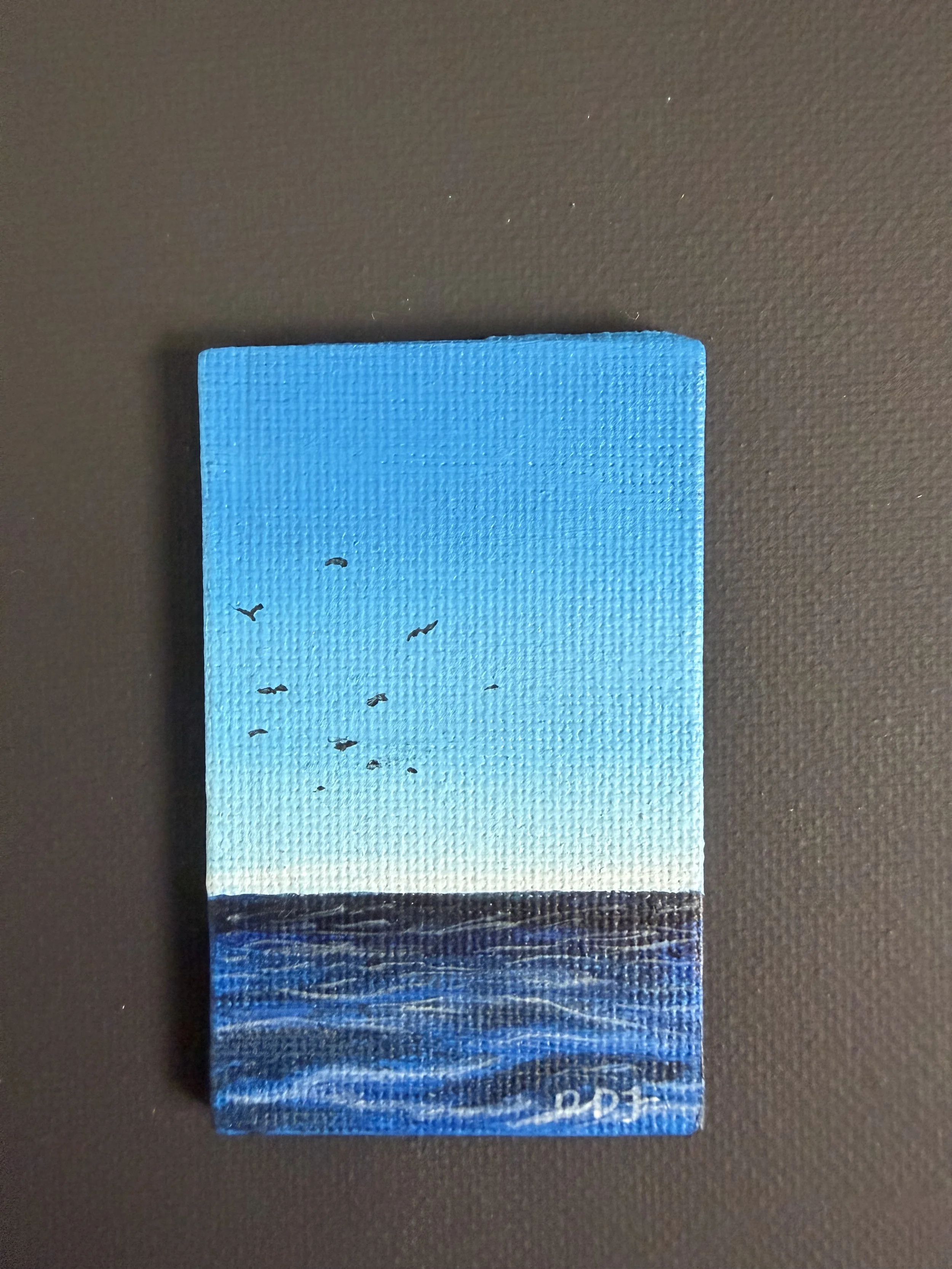 sm mag ocean birds.jpeg