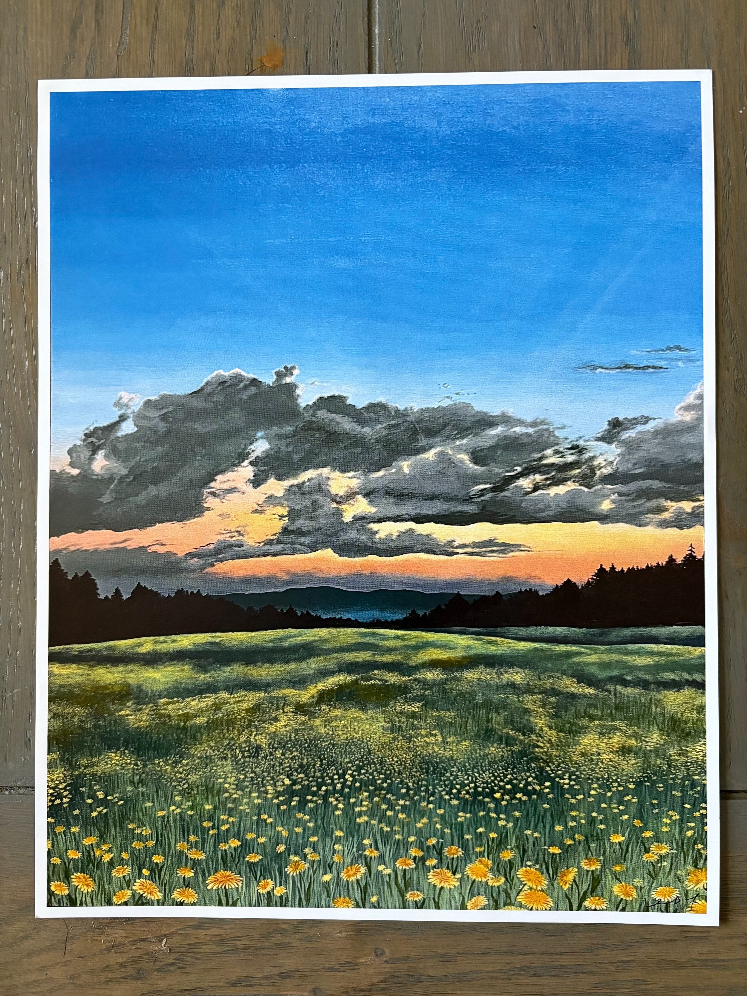 Dandy Fields