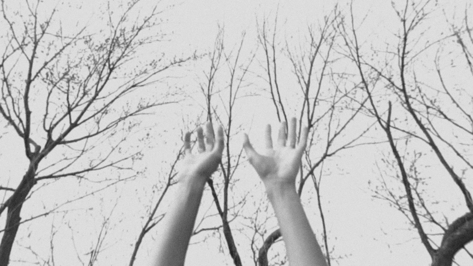 HESITATION_Final_Cut Copy 01.00_00_03_01.Still002.jpg