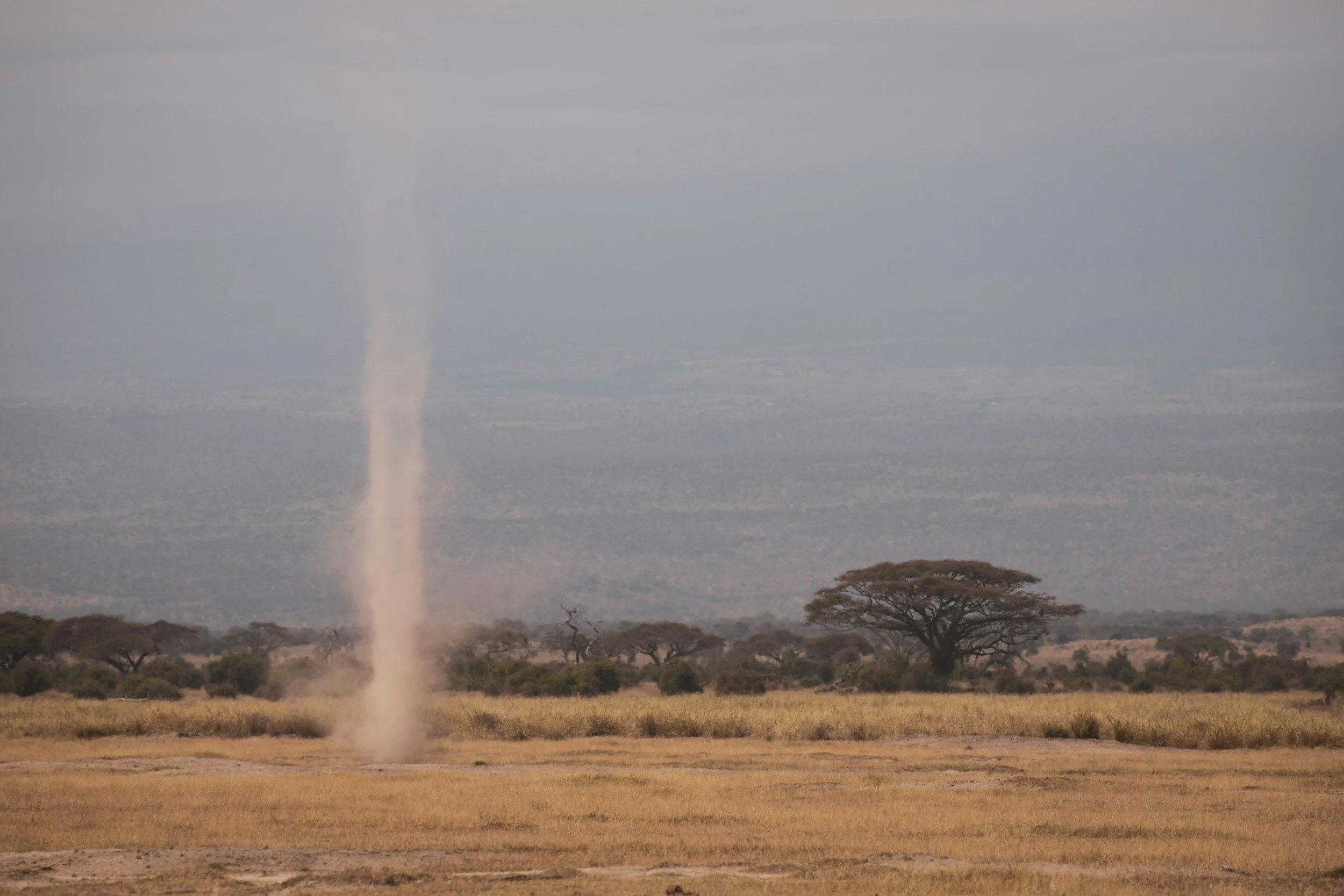 Rykkes bort, eller ikke...