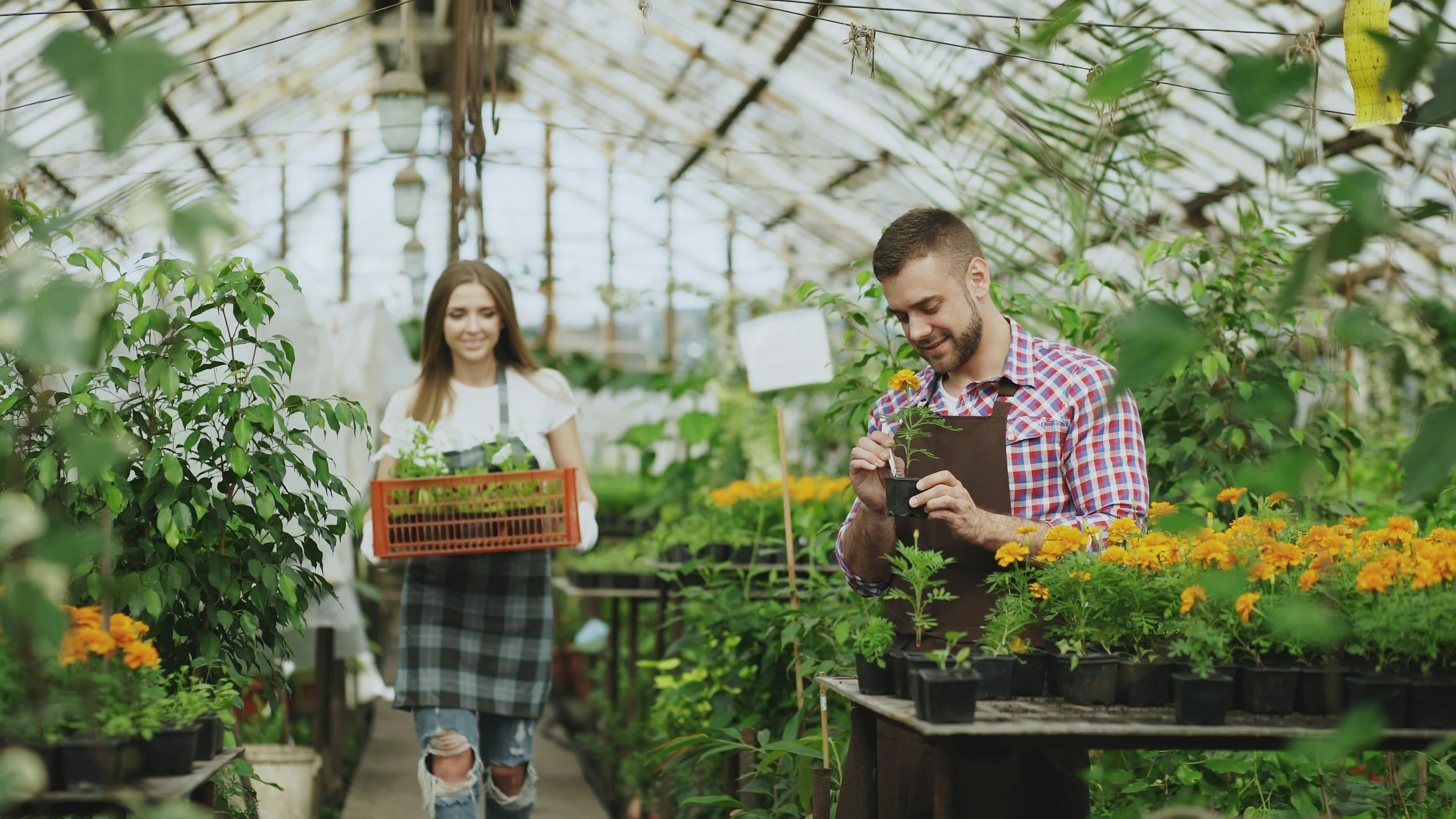 Ezer Kenegdo, Kvinnen som Gud skapte