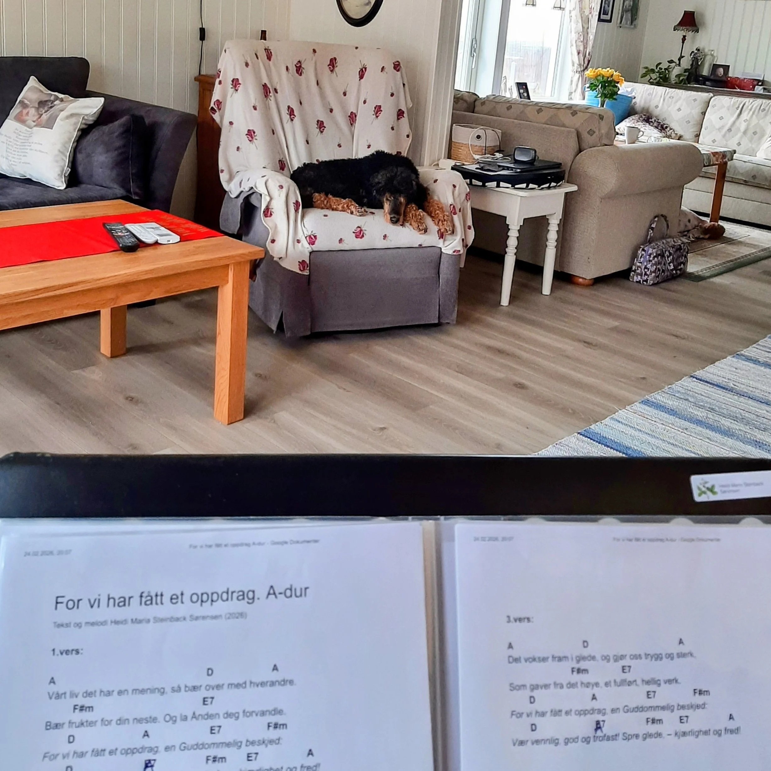 Konsert for en flue…