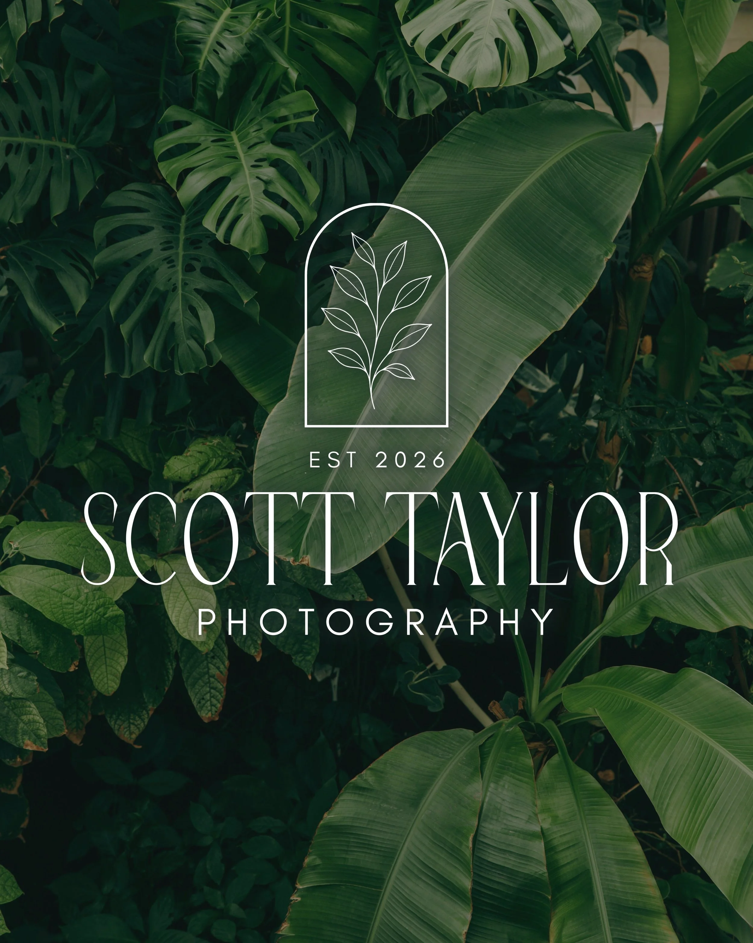 A little refresh for a new chapter. 🌿

Over the years, my photography has grown and evolved, and it felt like the right time for the brand to grow with it.🍃

I&rsquo;m excited to share the new logo! A design that feels more like me, my style, and t