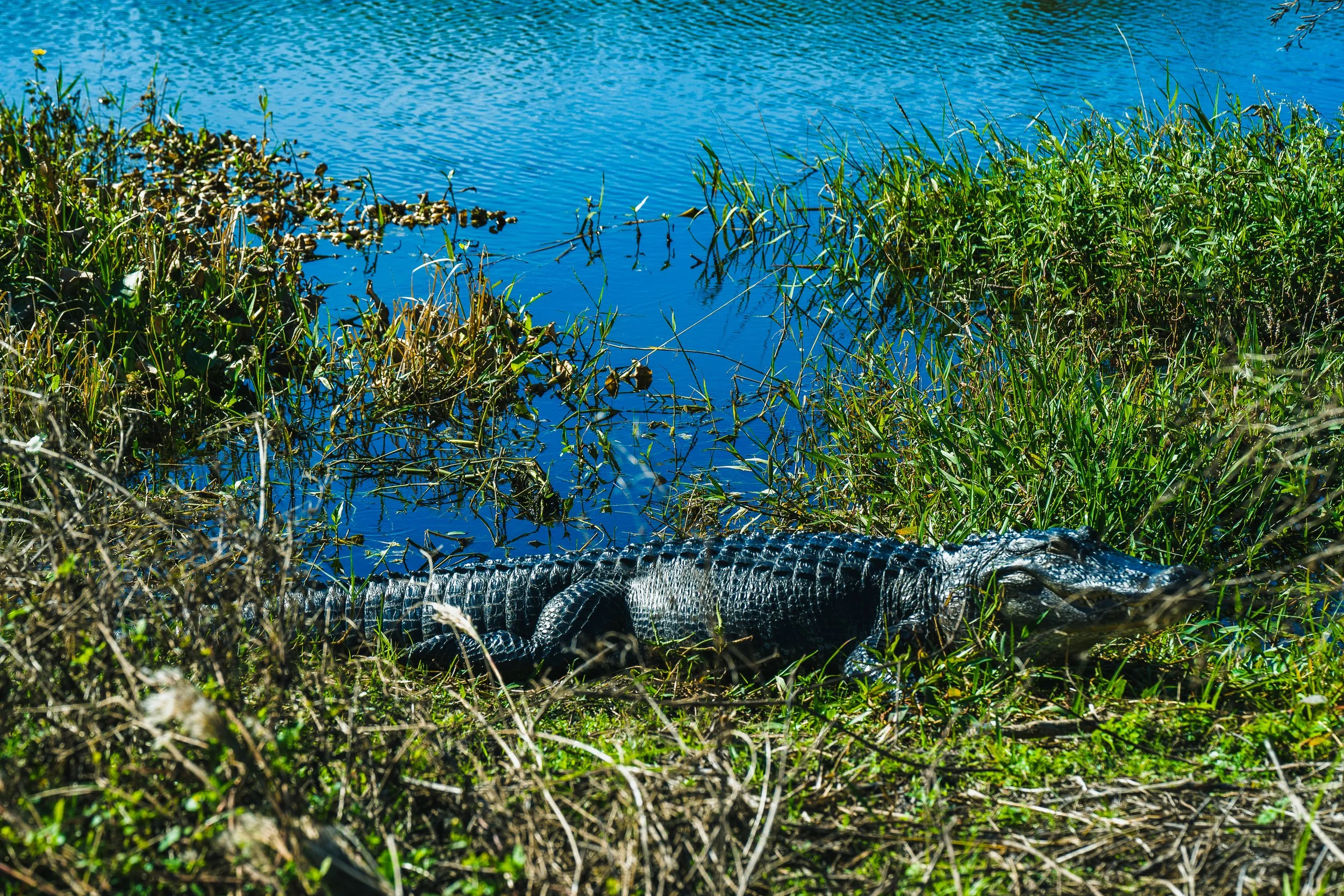 11-30-24 Circle B Bar Reserve-54.jpg