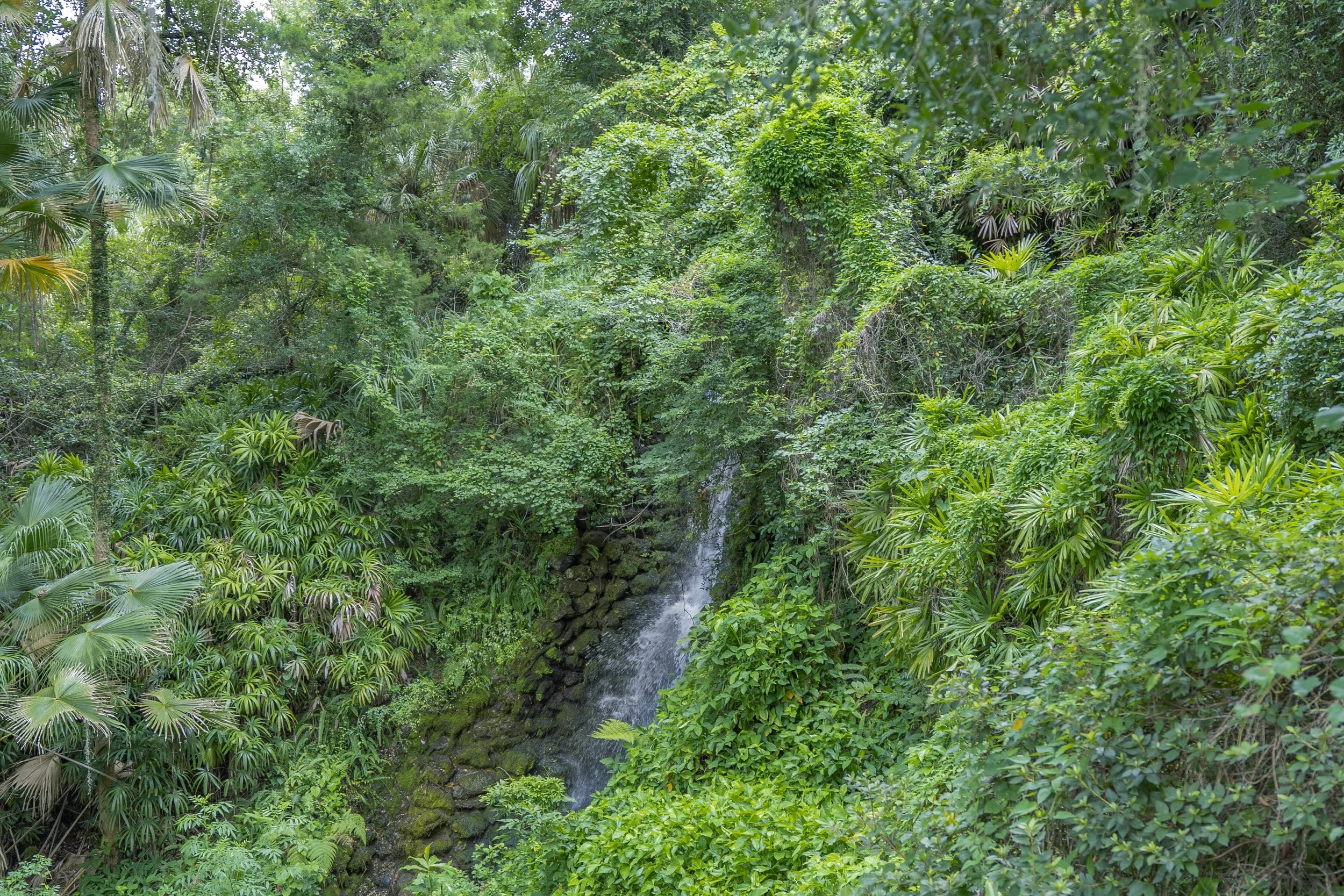 6-29-24 Rainbow Springs SP -17.jpg