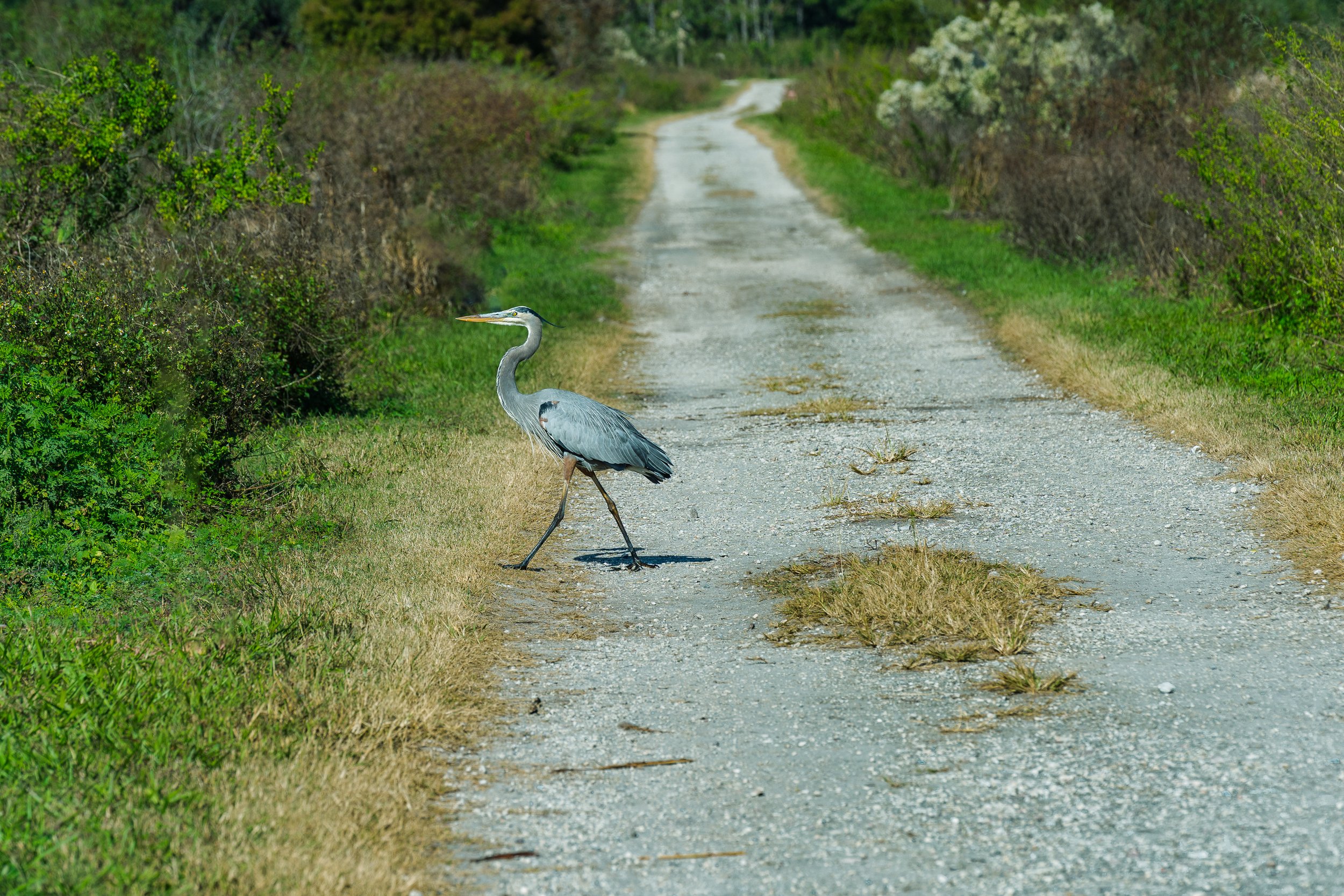 11-30-24 Circle B Bar Reserve-43.jpg
