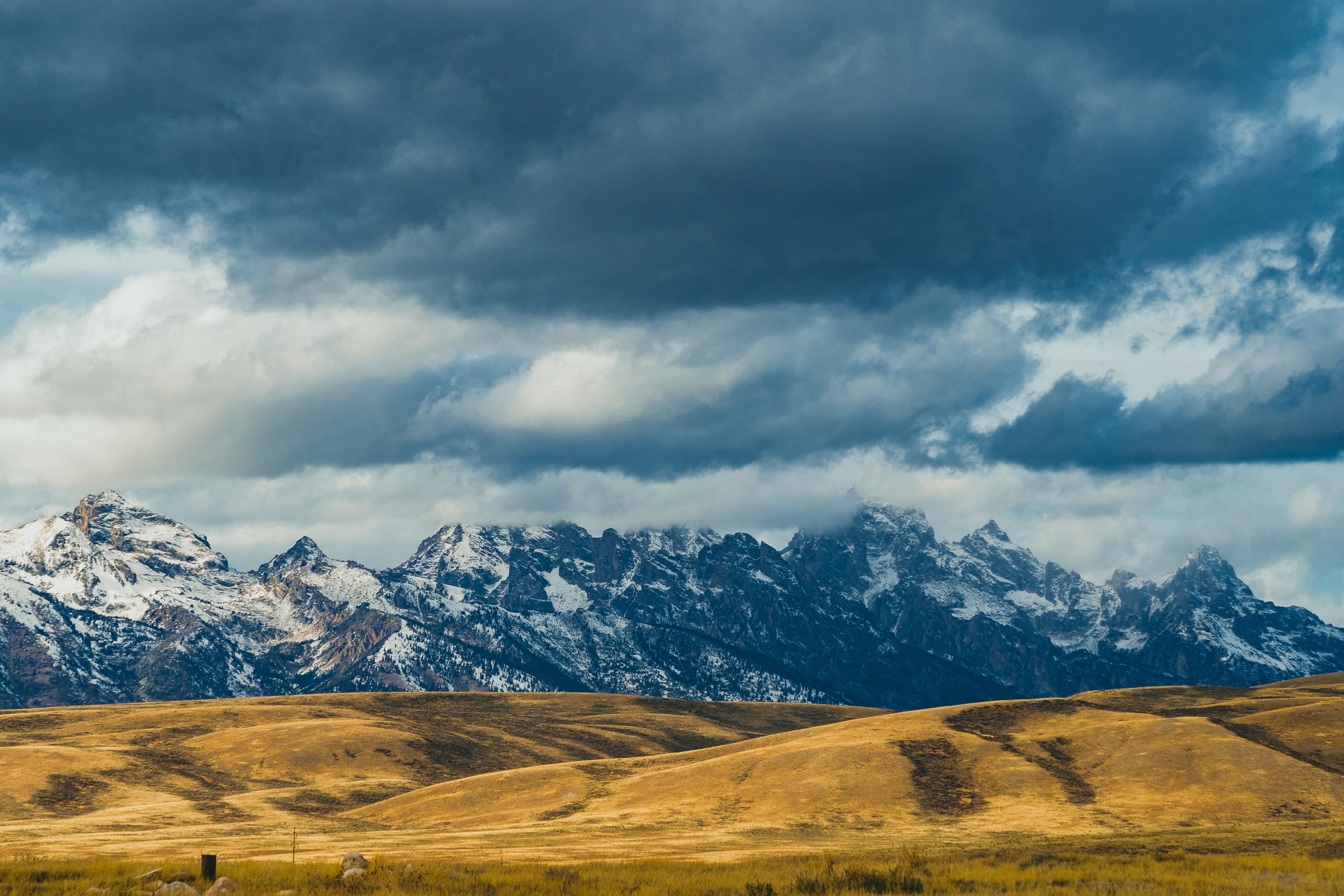 11-14-24 National Elk Refuge-58.jpg