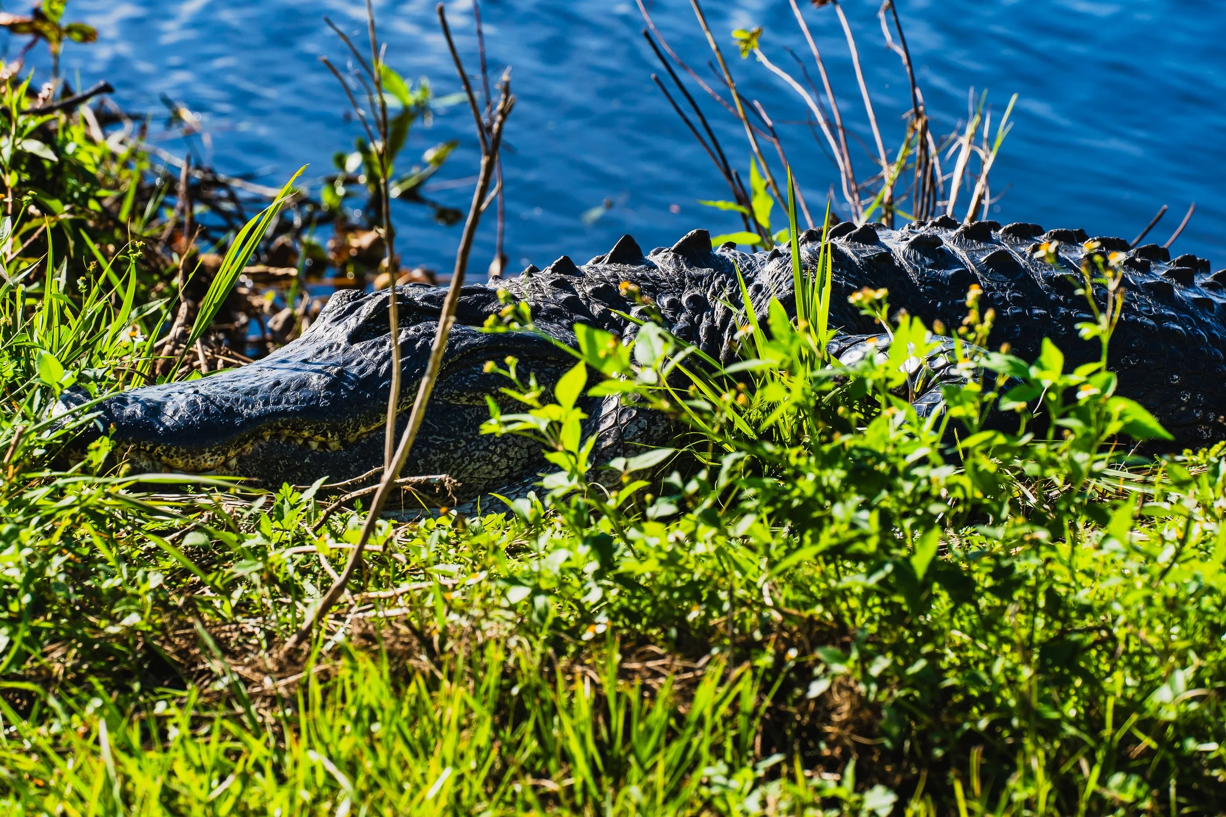 11-30-24 Circle B Bar Reserve-31.jpg